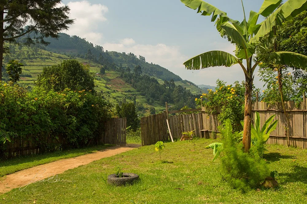 "Garden with a view", Kisoro, Uganda