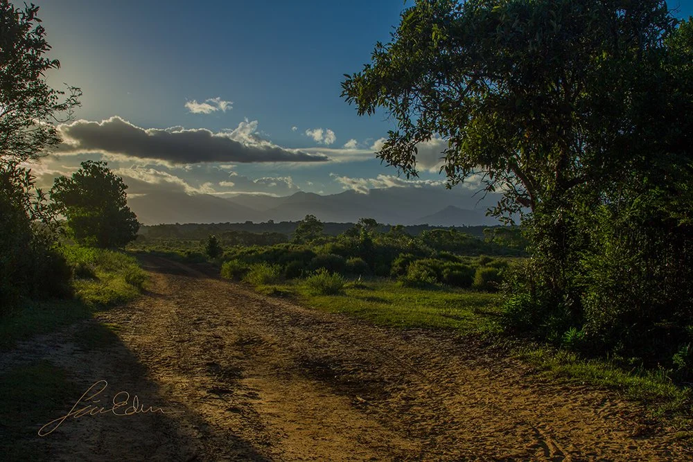 The sun sets over Anosy region, with the Anosy mountain range on the horizon. 