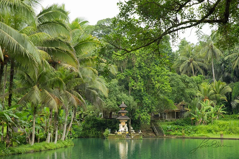 The tranquill surroundings of a Hindu temple, Ubud, Bali, Indonesia