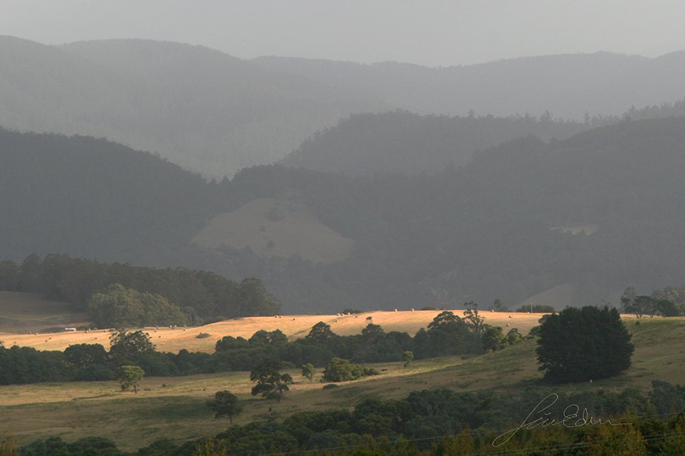 Tasmanian countryside. Tasmania, Australia