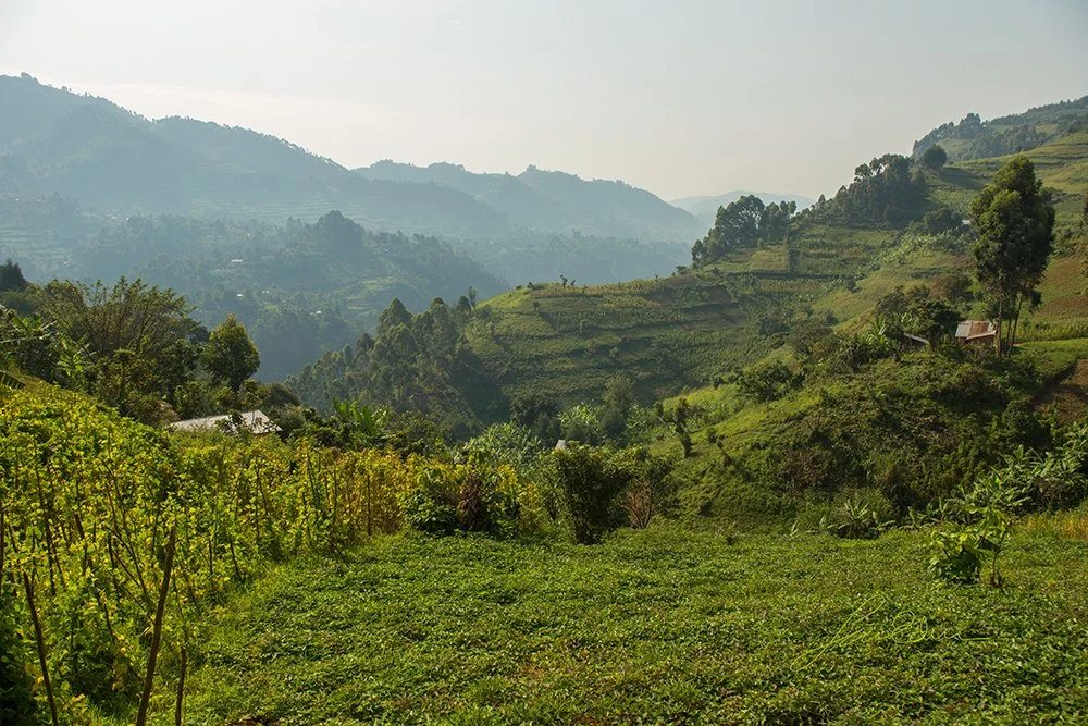 "Farming on the slopes", Kisoro, Uganda