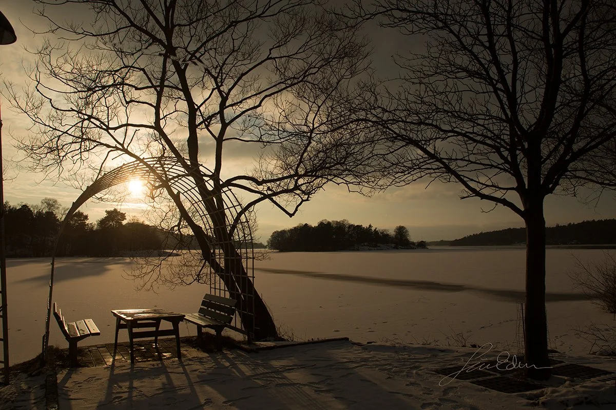 "Winter afternoon in Stockholm". Along a walking path by Mälaren lake, Sweden