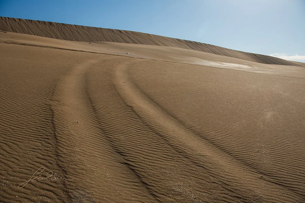 Tracks in the desert, Morocco