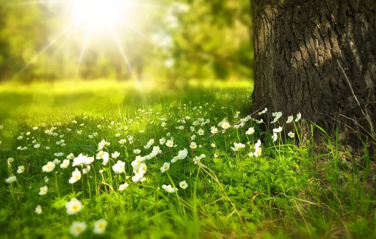 What is Reiki and Its Benefits?