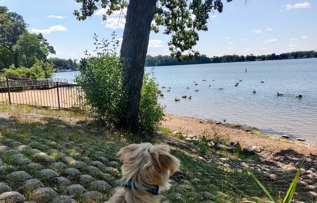 Being Alone with Grace