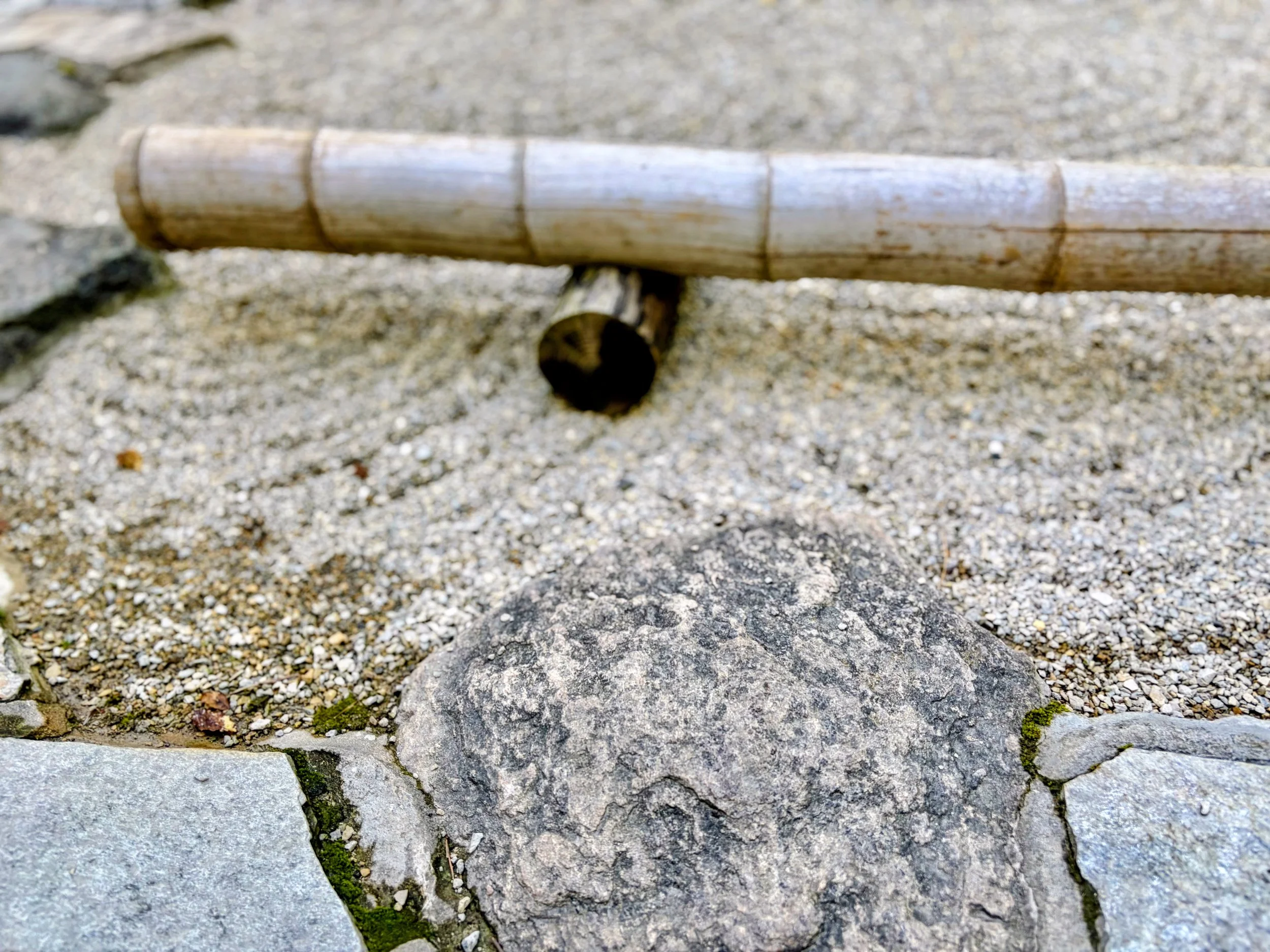 Close-up of stone and gravel ground with moss and small rocks.