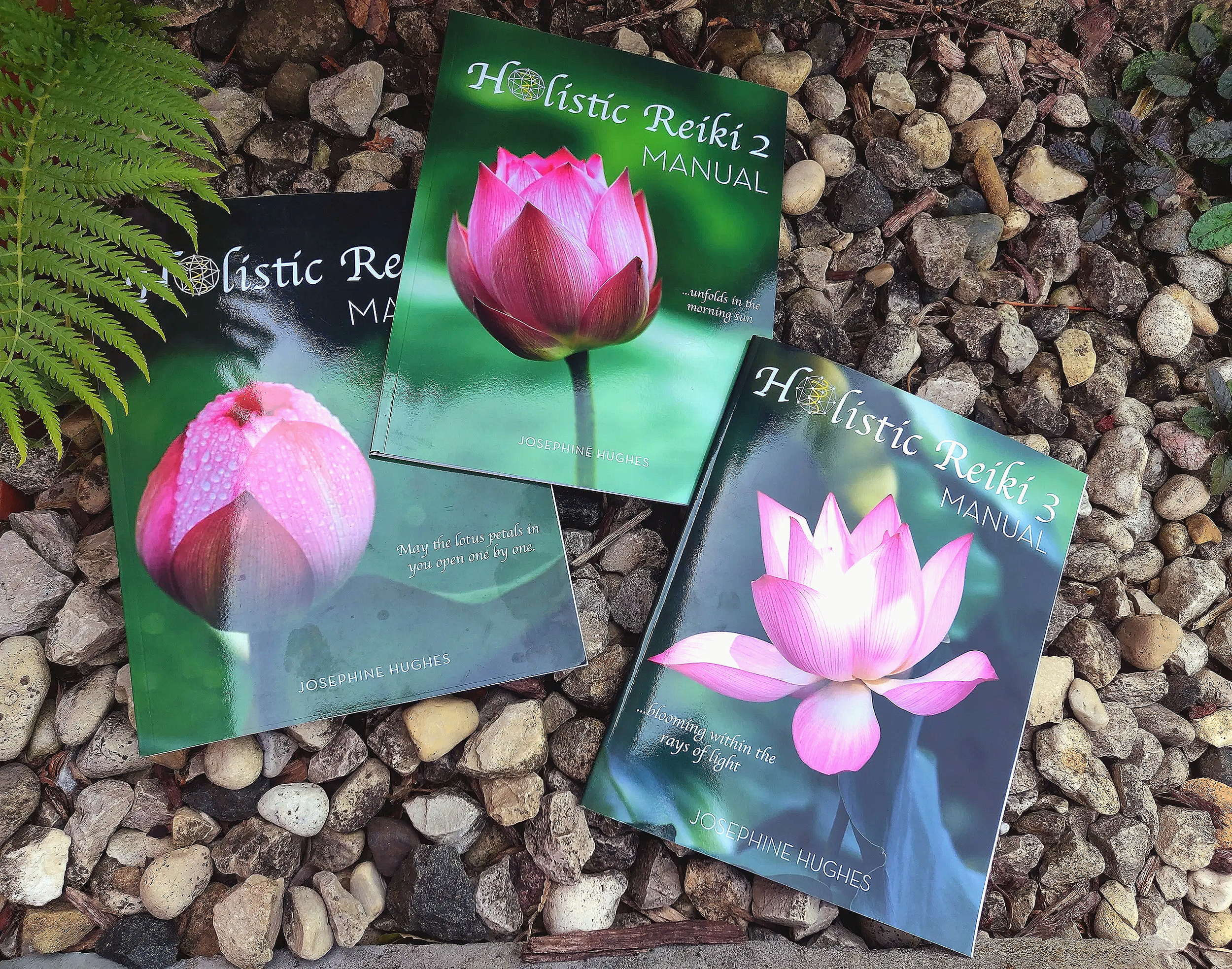 Holistic Intuitive Reiki — Complete Certification (Courses 1–3)