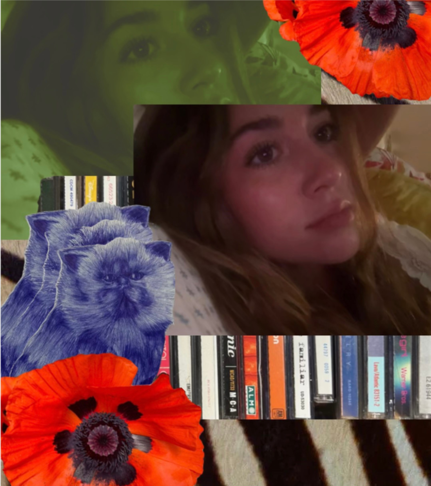 Collage featuring a woman with brown hair looking at the camera, a green-tinted close-up face of another woman, a blue cat illustration, a line of various CD cases, and vibrant red poppy flowers.