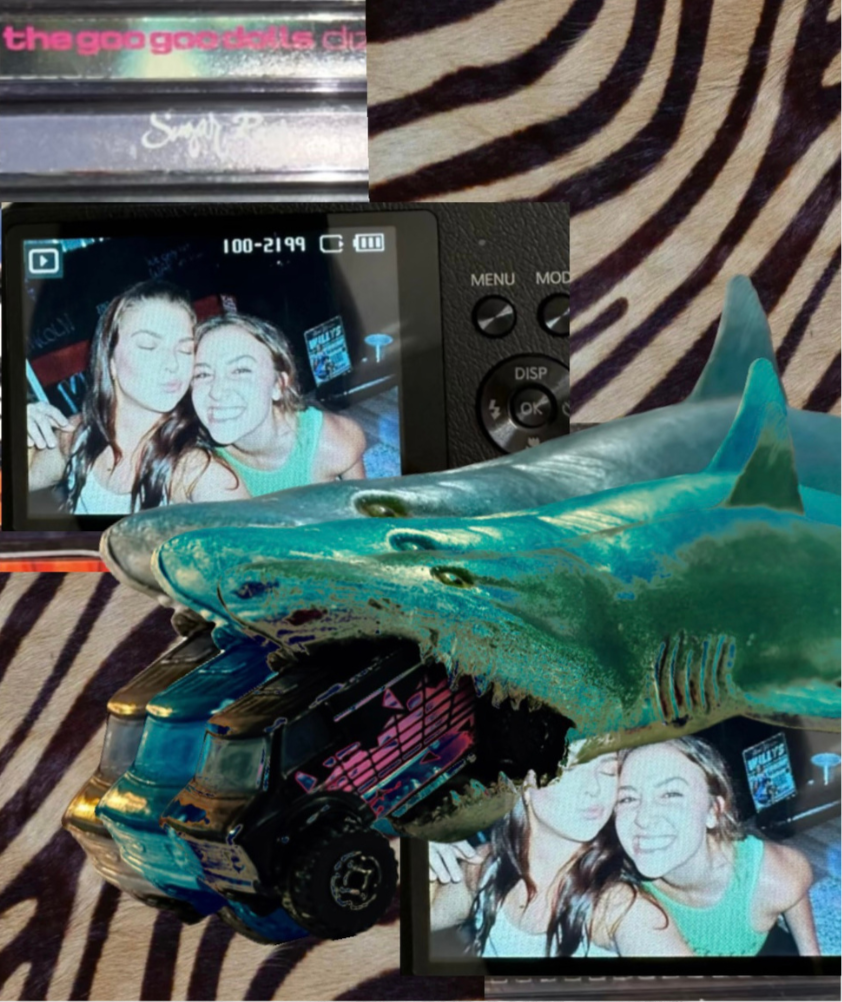 A digital camera displays a photo of two women making funny faces, with a large toy shark, arcade tokens, and a zebra-print fabric in the background.