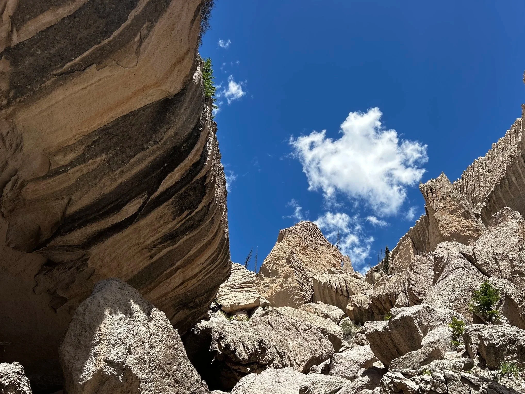 Looking up through a rocky canyon with steep, layered cliffs on either side and a bright blue sky with a few white clouds overhead.