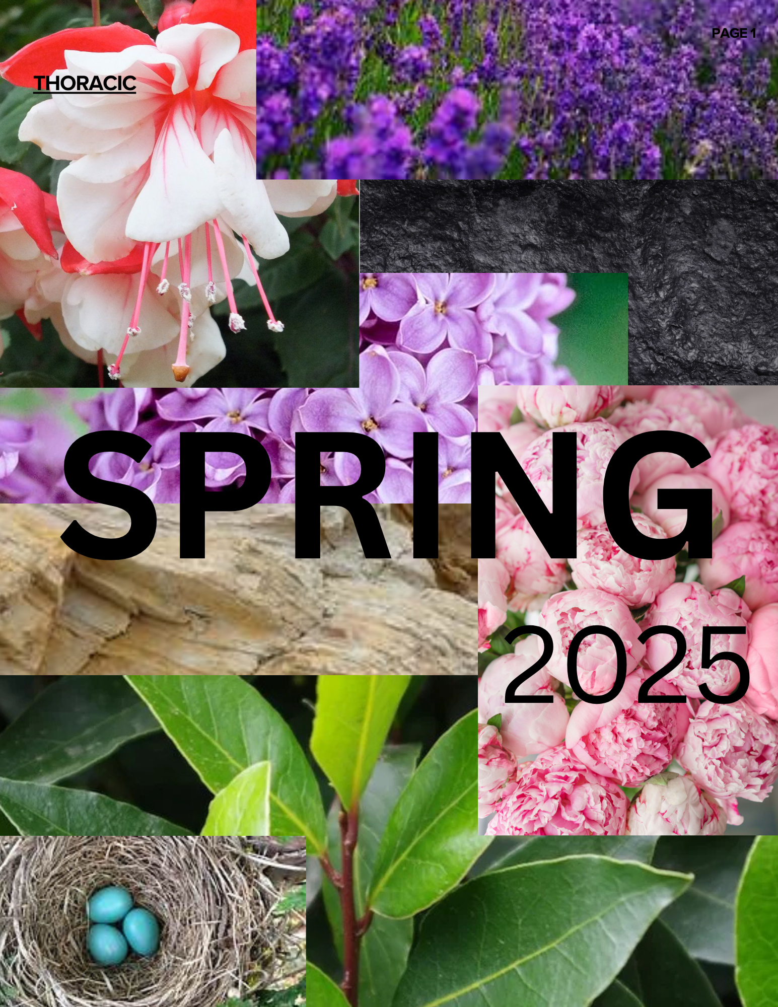 A collage of spring-themed photographs including close-ups of pink and purple flowers, a bird's nest with blue eggs, and a black textured background with the words 'Spring 2025' written across it.