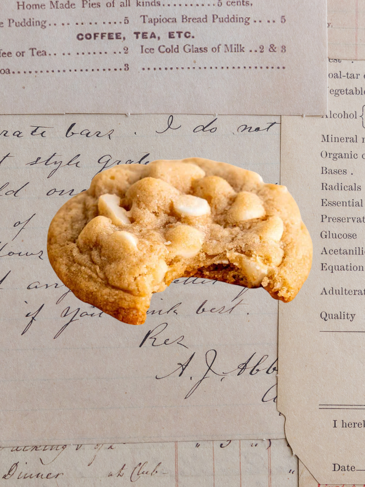 White Chocolate Macadamia Cookie