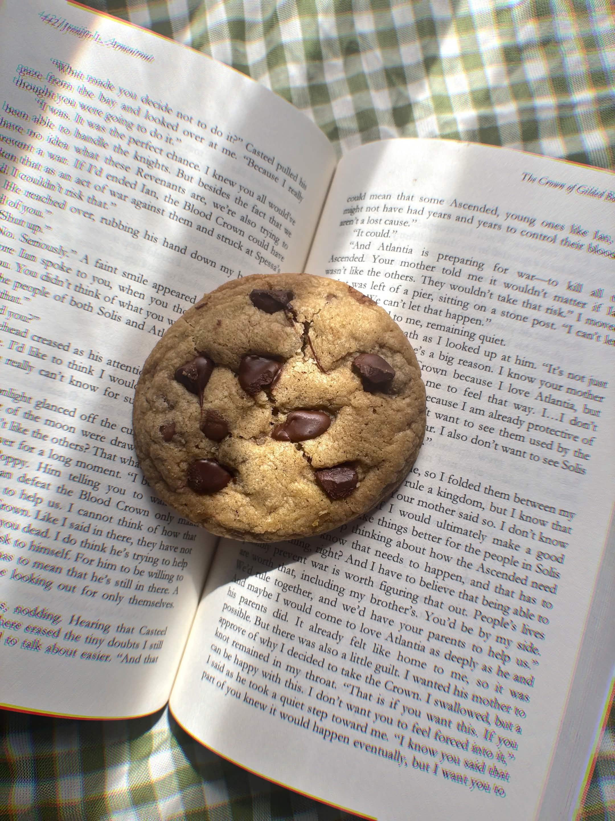 Browned Butter Chocolate Chip Cookie
