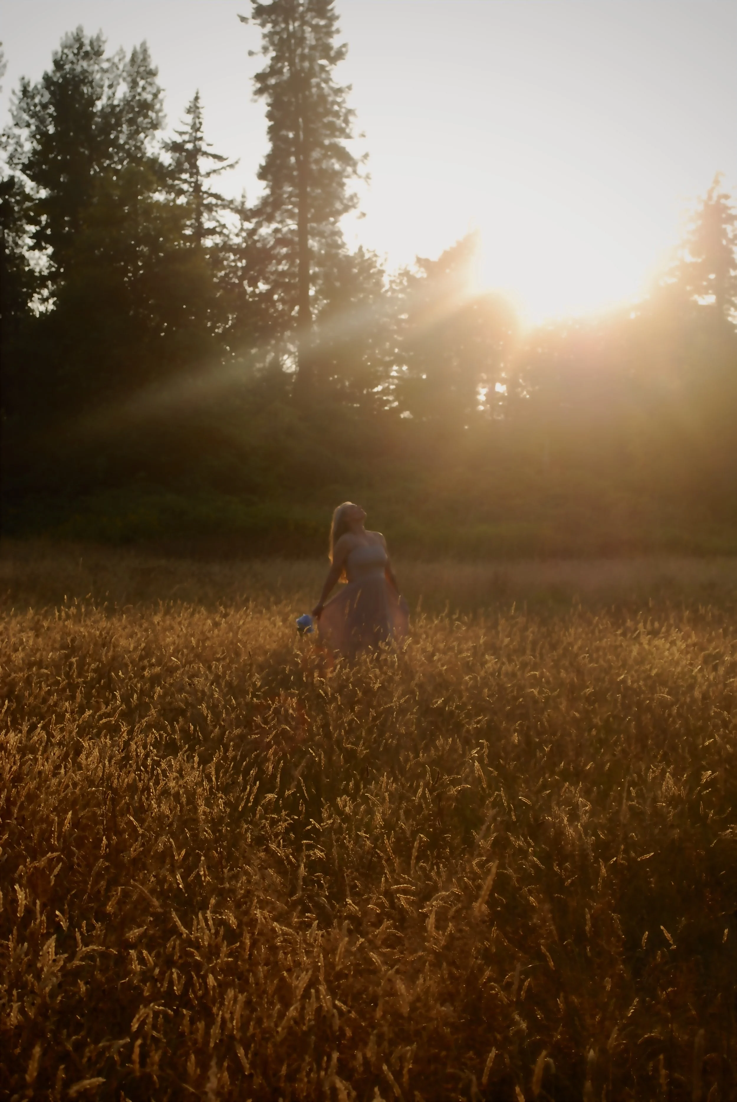 A woman in a dress standing in a field of tall grass during sunset with sunlight filtering through trees in the background.