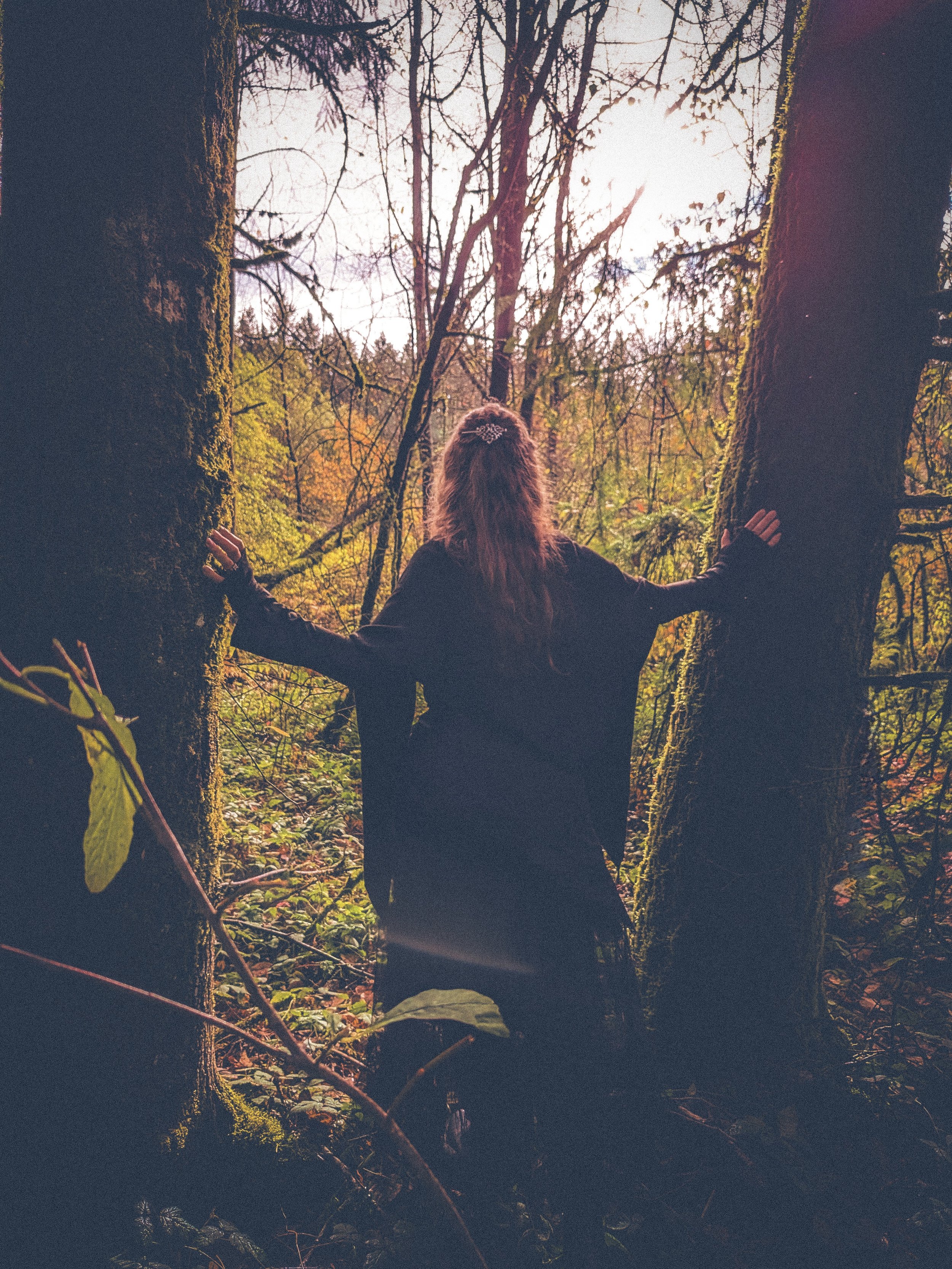 A woman with long hair, wearing a dark jacket, stands between two trees in a dense forest. She is facing away from the camera, looking toward the bright sky visible through the branches overhead. The scene is set during daytime with autumn foliage.