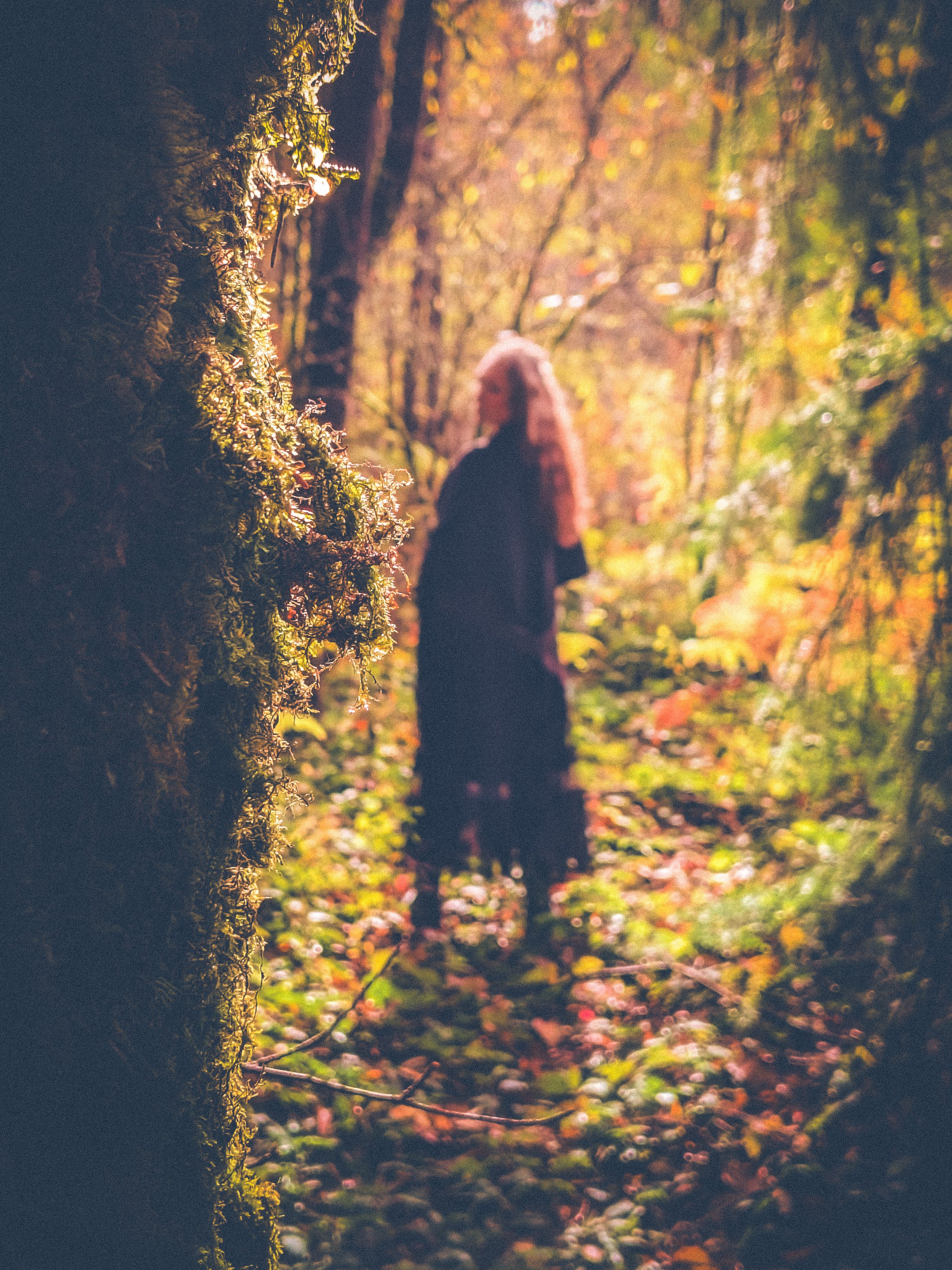 A person with blonde curly hair, dressed in a dark jacket, walking in a forest during fall, with colorful autumn leaves on the ground and sunlight filtering through the trees.