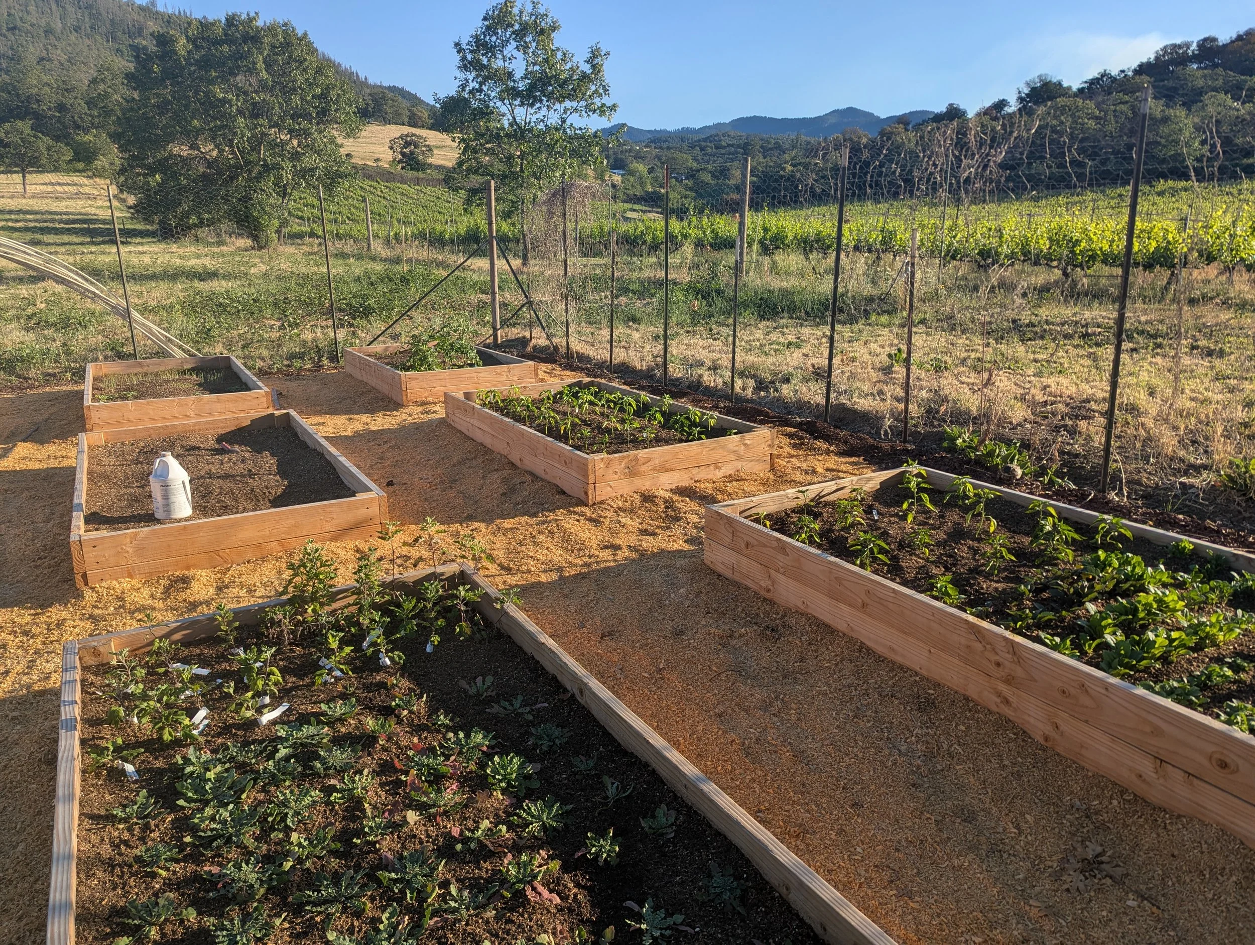 A small farm with garden beds in the foreground, fields and hills in the background, and a wire fence running along the hillside, under a clear blue sky.
