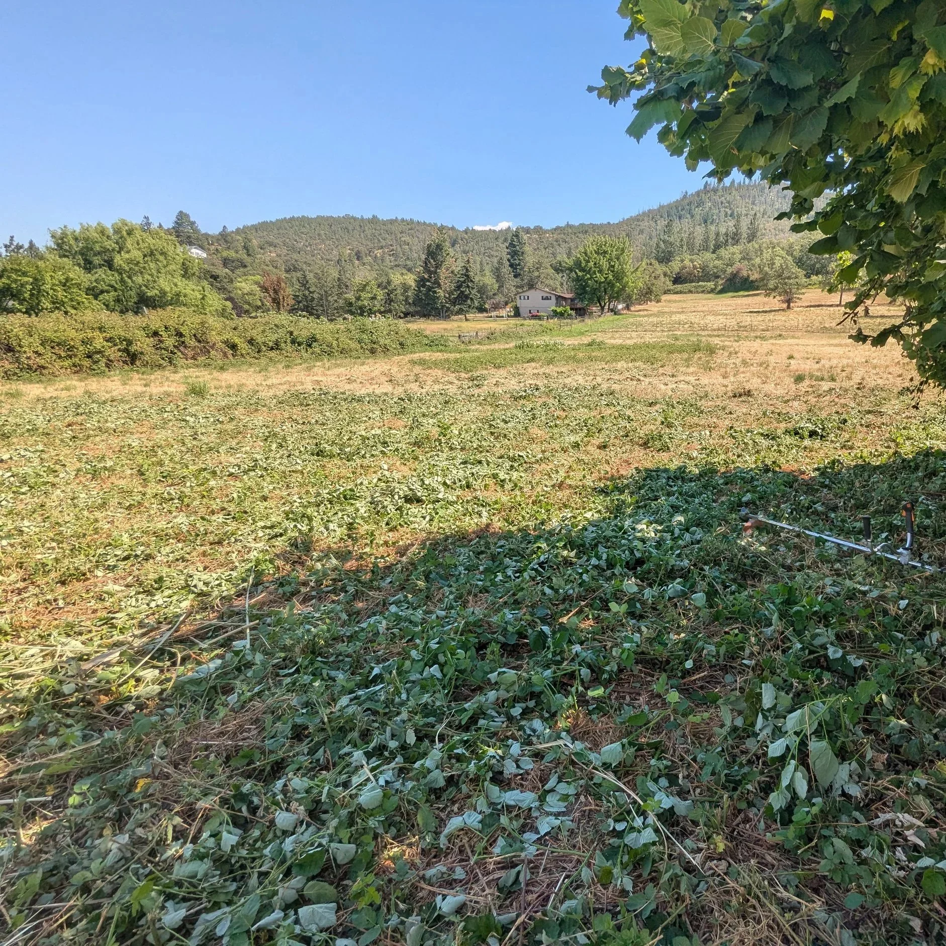 A rural landscape with a house surrounded by trees and hilly terrain, under a clear blue sky.