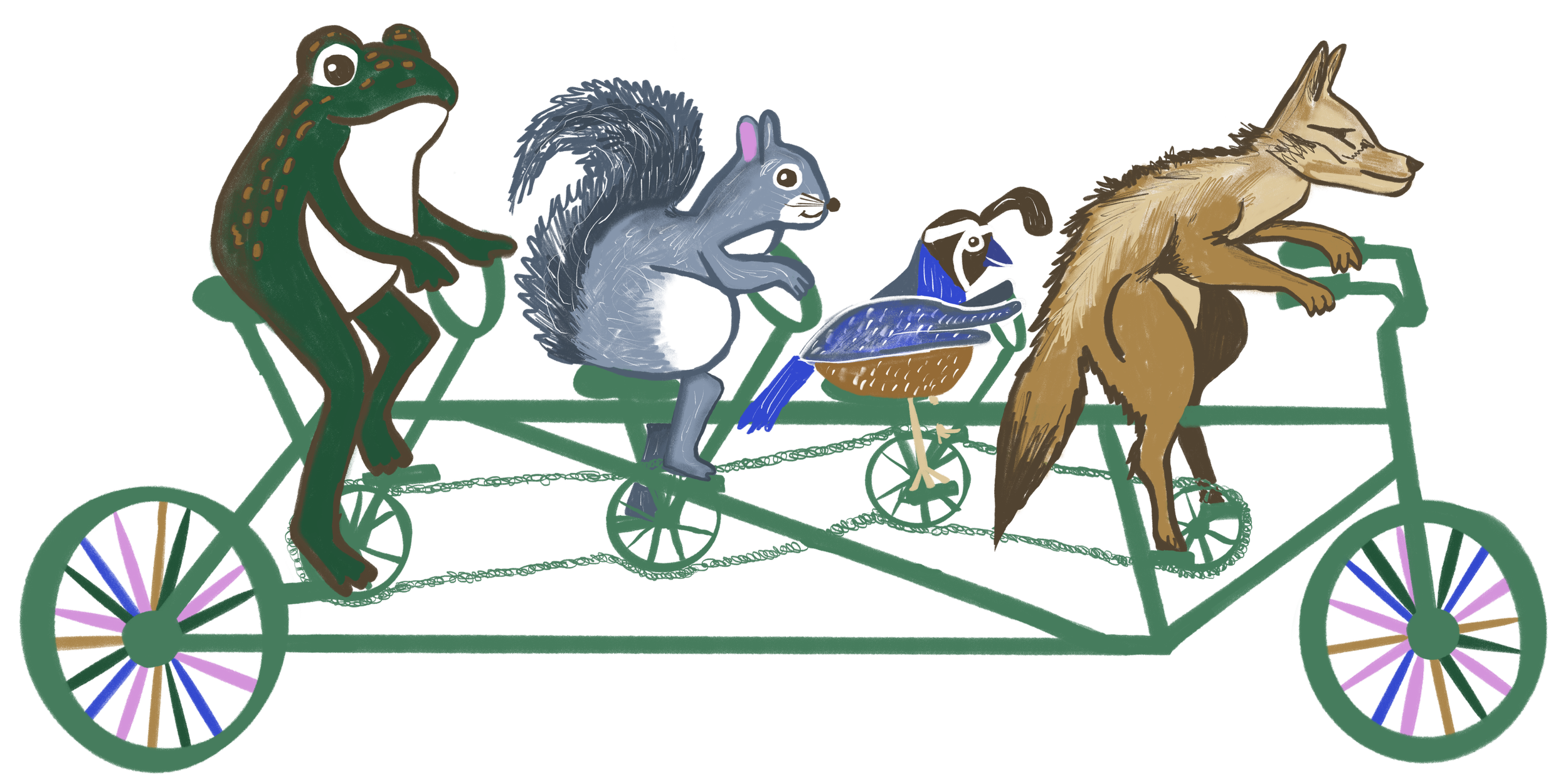 Illustration of animals riding a tandem bicycle: frog, squirrel, quail, and coyote.