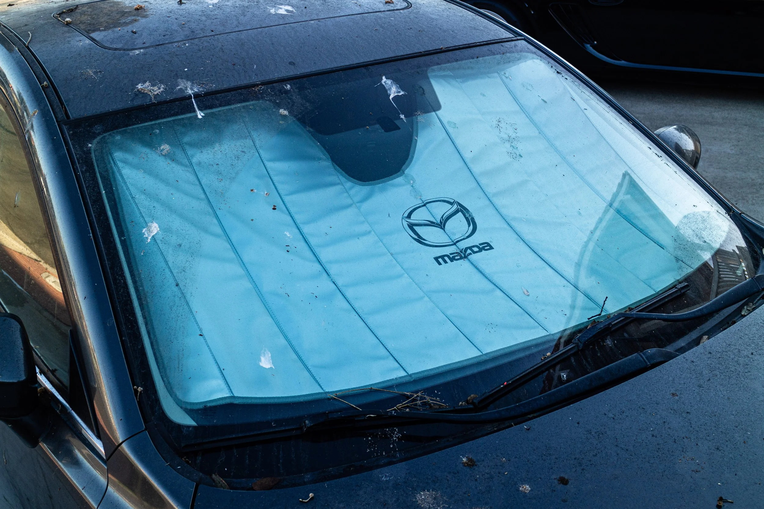 Edgar's Mazda3 Before-8.jpg
