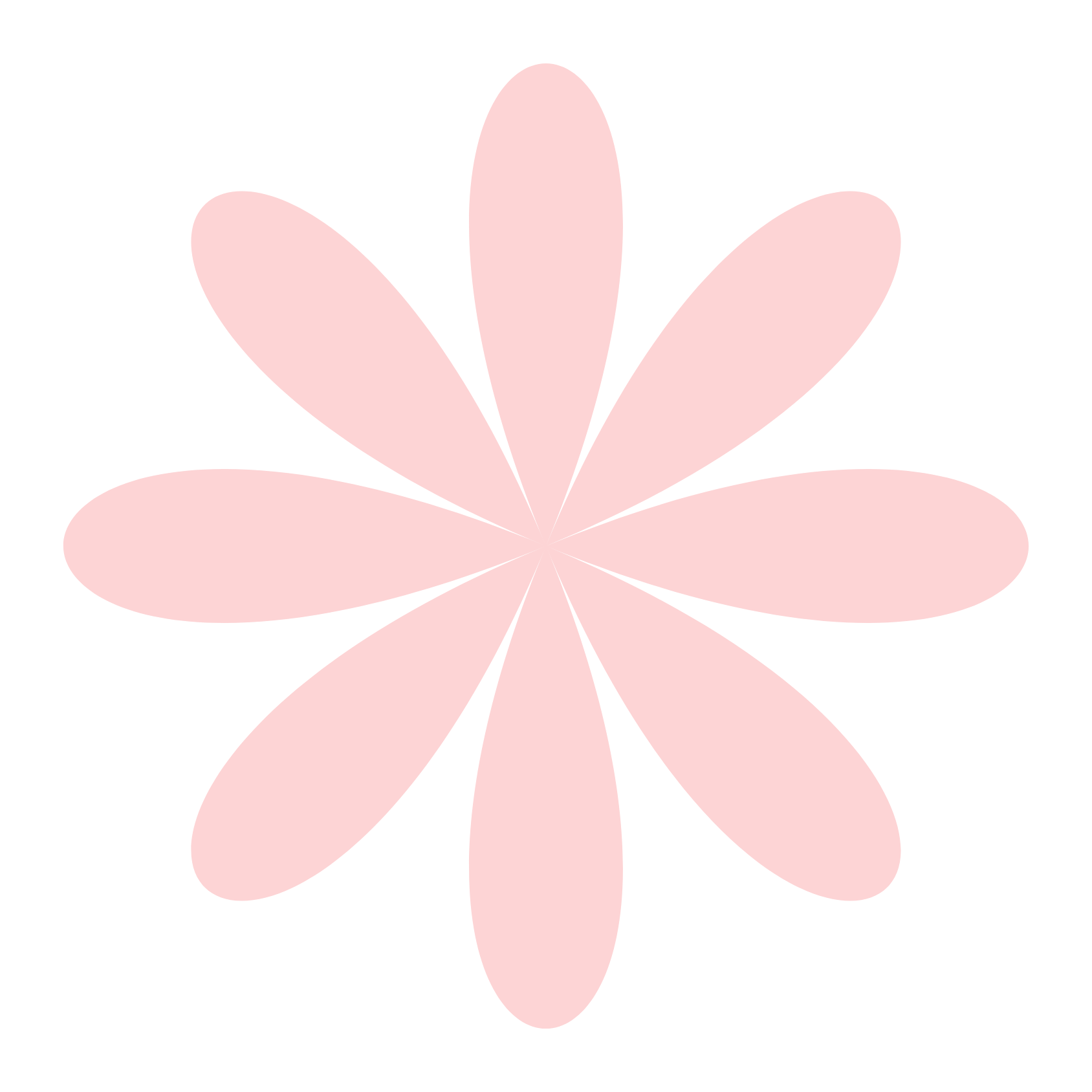 Pink flower with eight elongated petals on a black background.