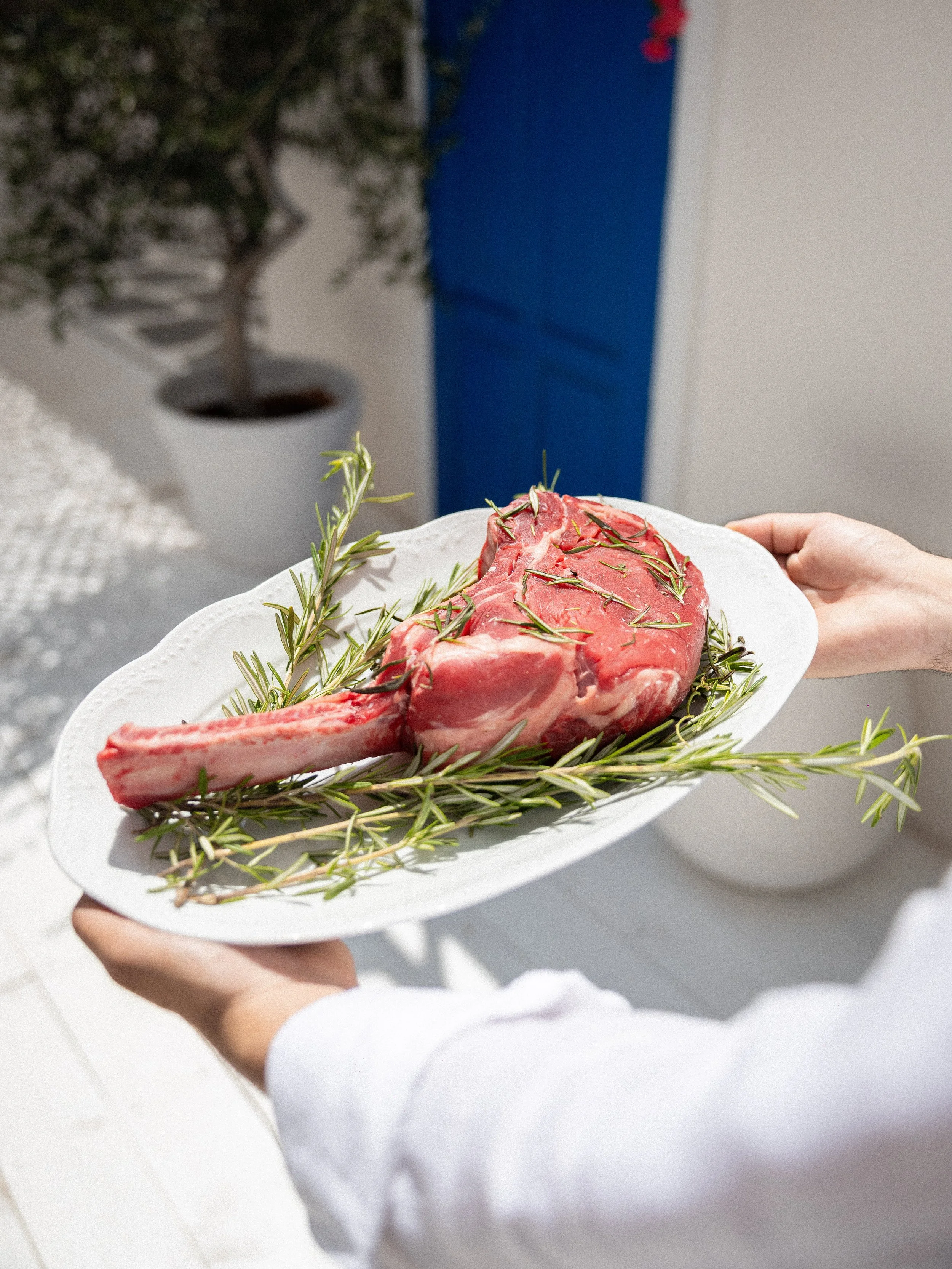 Person holding a white plate with a raw lamb chop garnished with rosemary, in a setting with indoor decor including a blue wall and a potted plant.