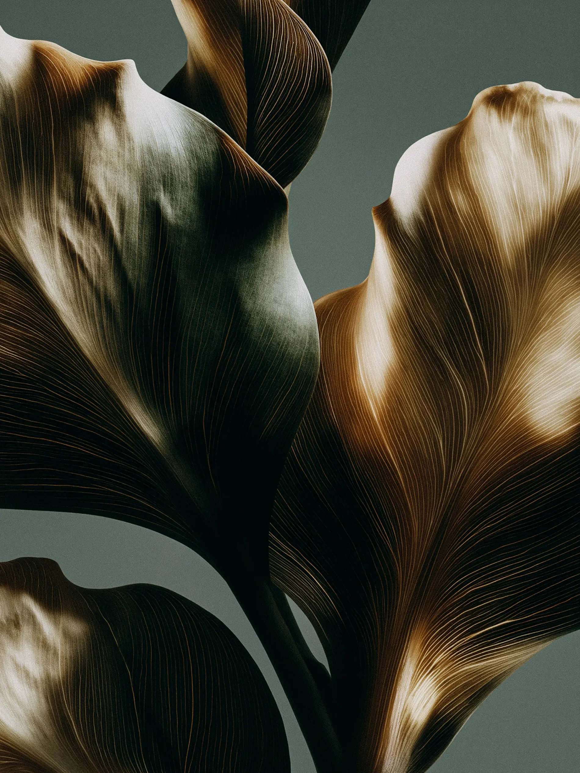 Close-up of dark foliage with gold and beige veins, against a pale background.