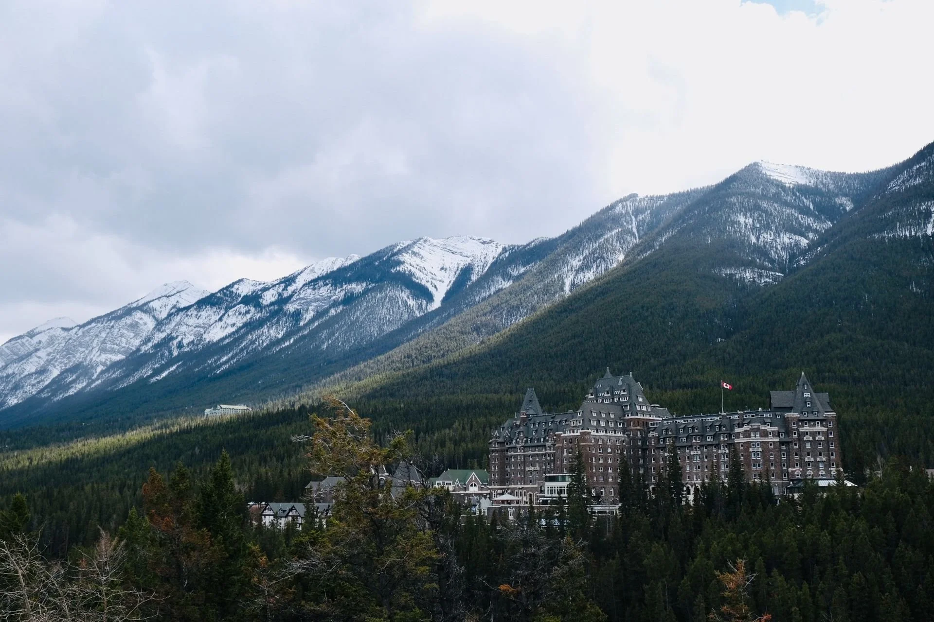 After the Fairytale: The Wilderness, the Border, and the Paperwork Between