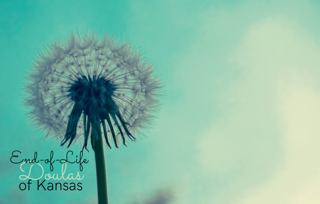 Close-up of a dandelion seed head against a gradient blue-green background with the text 'End-of-Life Doulas of Kansas'.