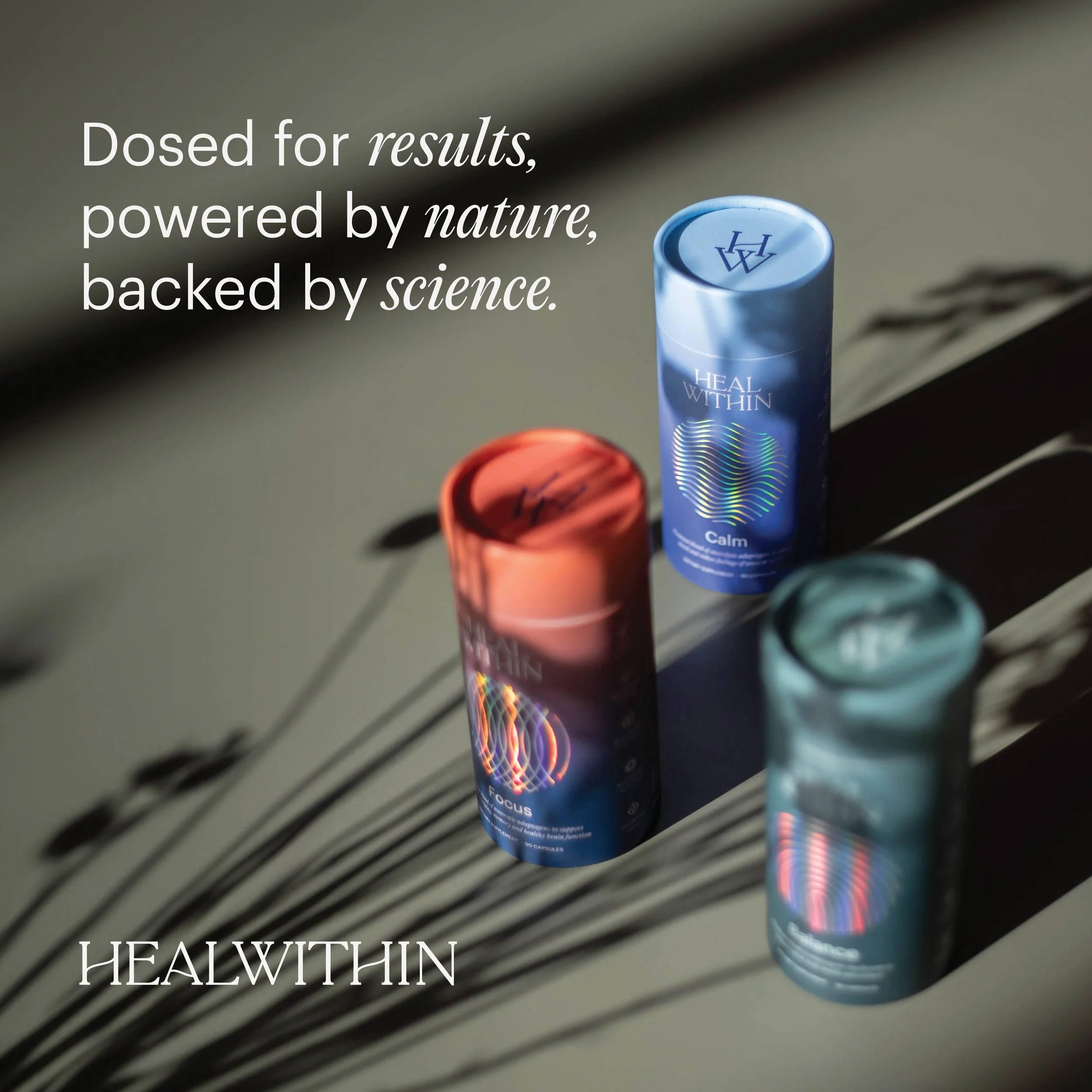 Paid social campaign, Heal Within