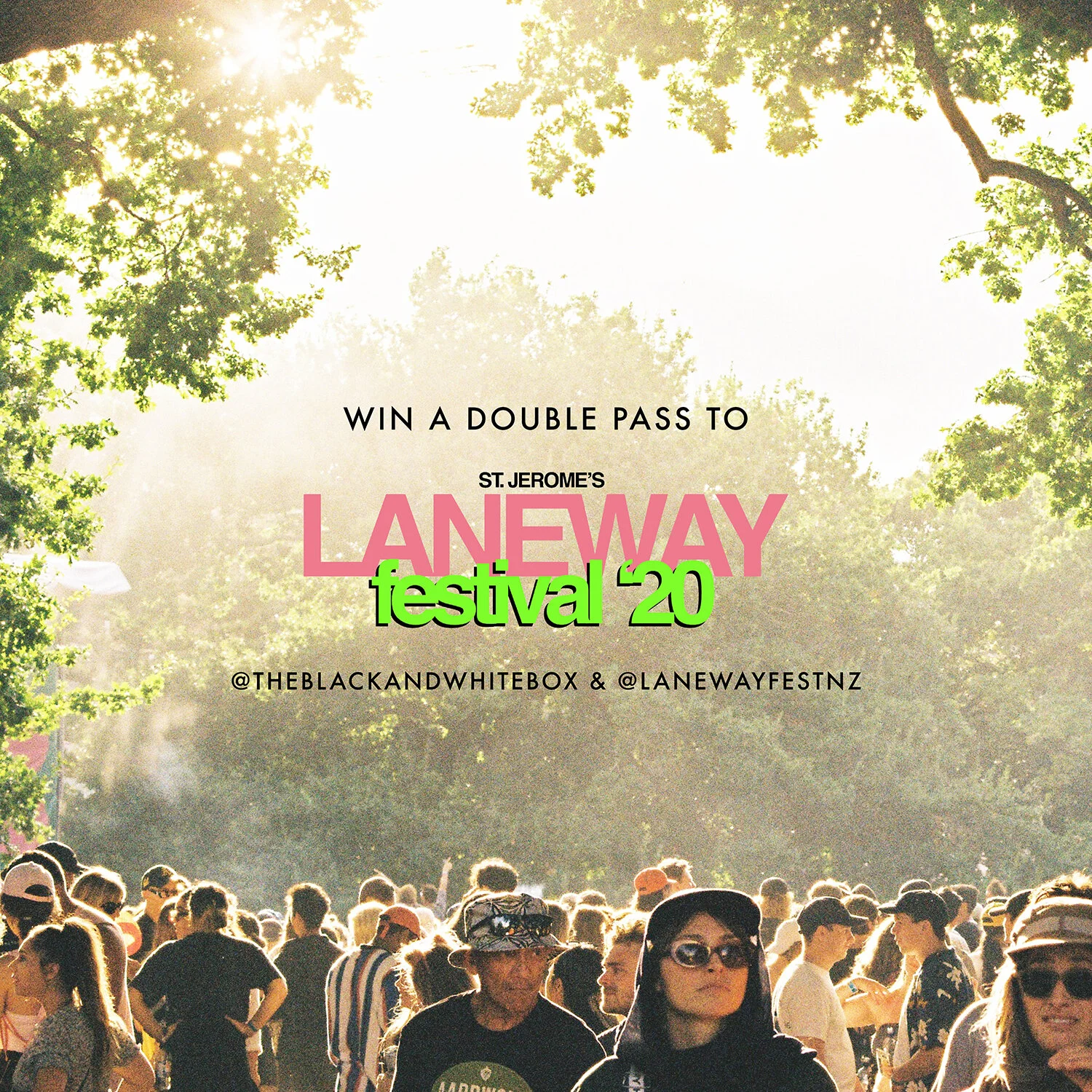 lanewayportfolio2.jpg
