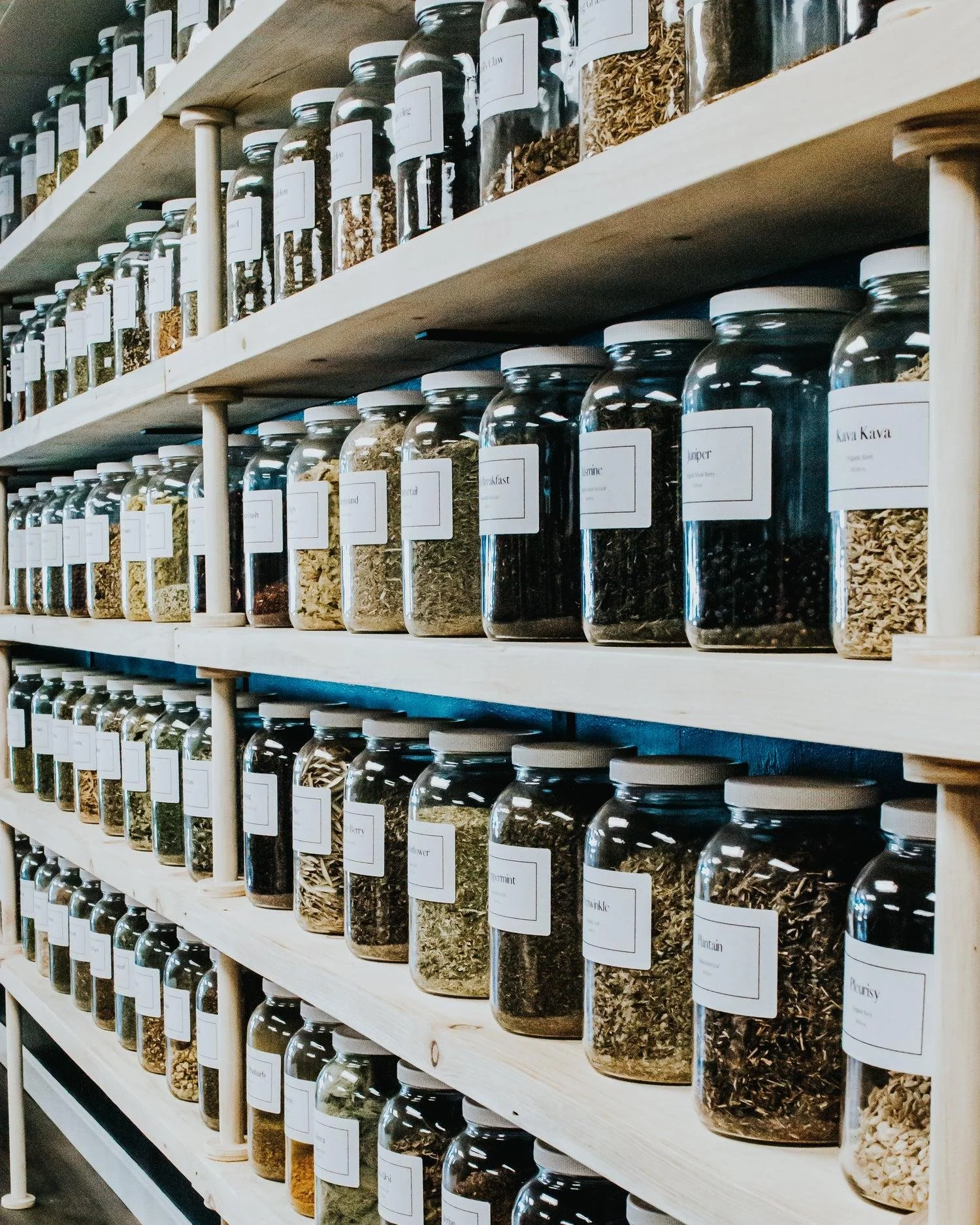 The 7 Foundational Herbs of Rosemary &amp; Cedar Botanicals