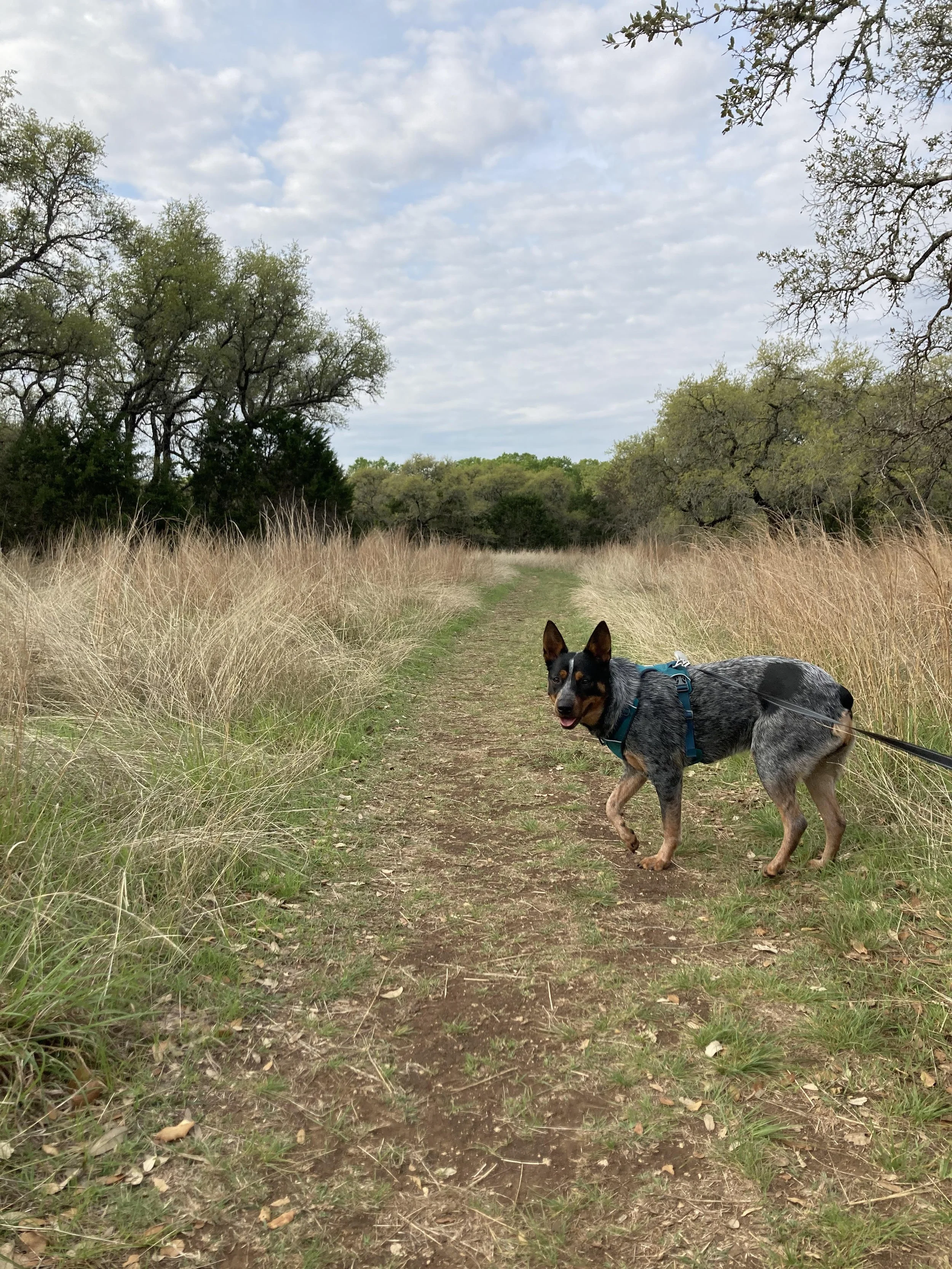Nature Doesn't Rush. Neither Do We.