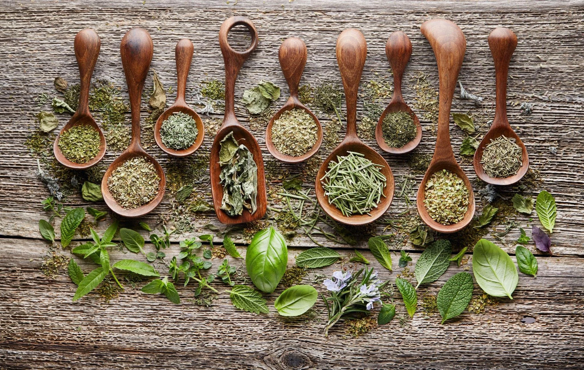 Same Herb, Different Preparation: Why It Matters