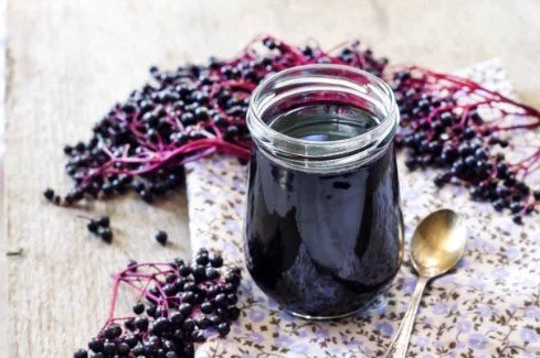 Herbal Immune Support: Immune-Stimulating, Antiviral &amp; Vitamin C-Rich Herbs