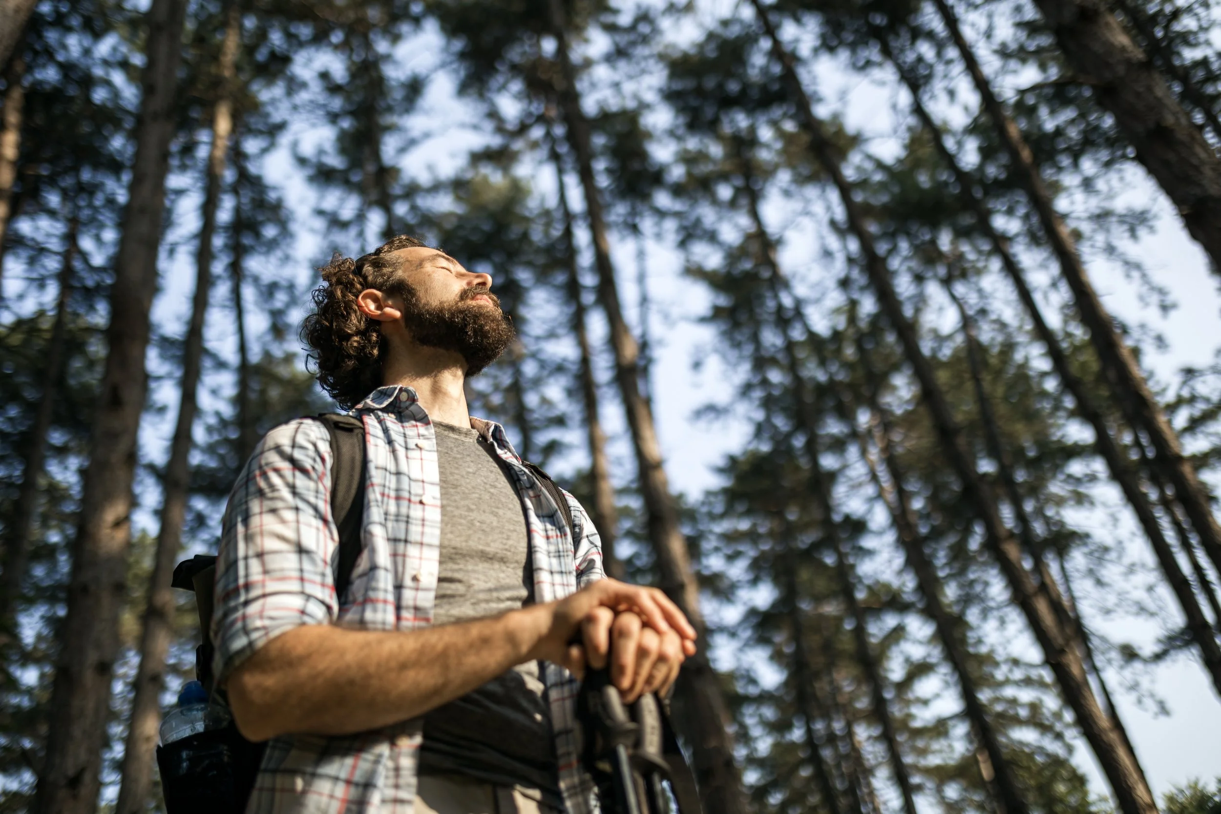 A man with curly hair and a beard standing outdoors among tall trees, with eyes closed and head tilted upward, enjoying the sunlight.
