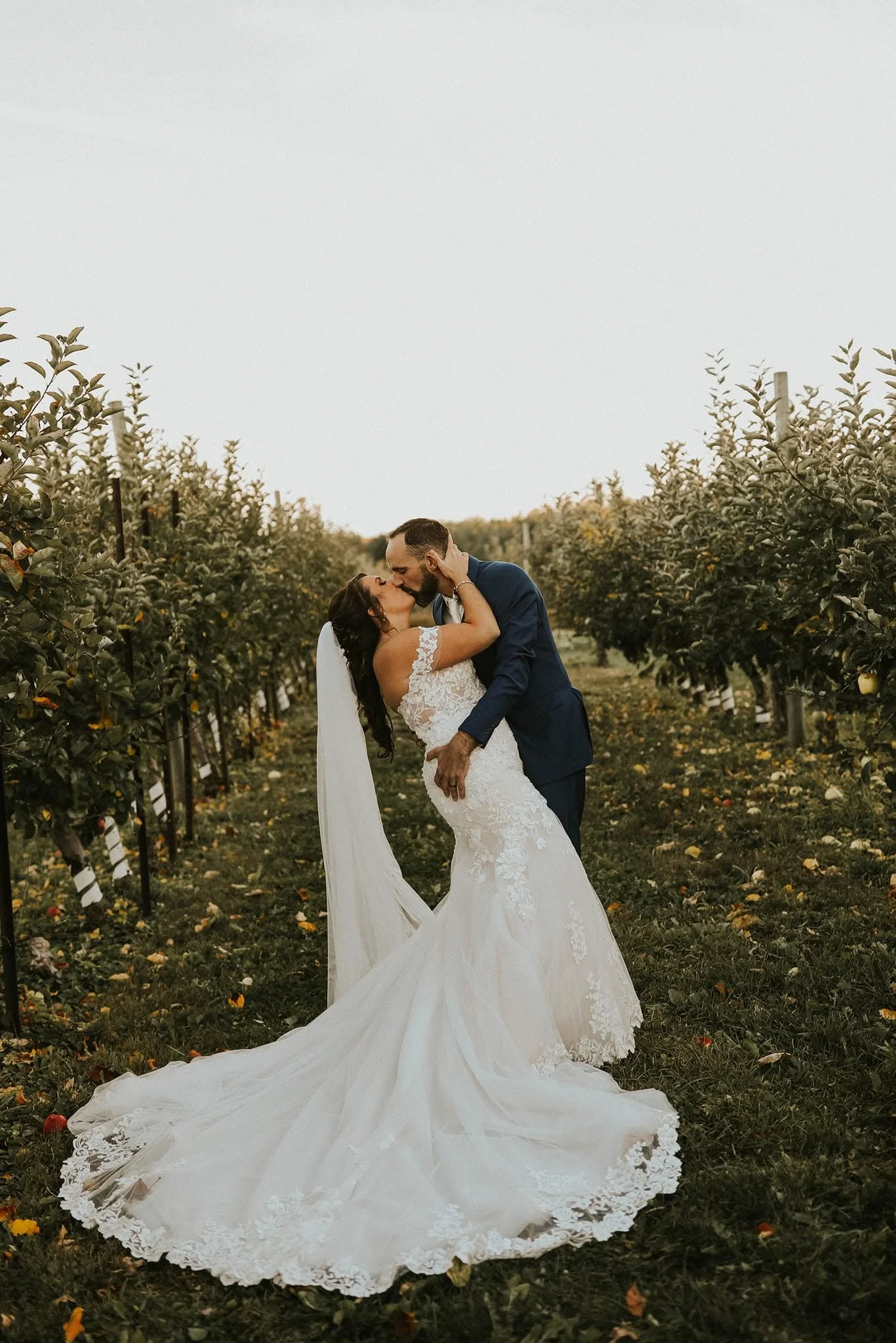 A bride and groom sharing a kiss in a vineyard, with the bride wearing a lace wedding gown and the groom in a navy suit, surrounded by grapevines during daytime.