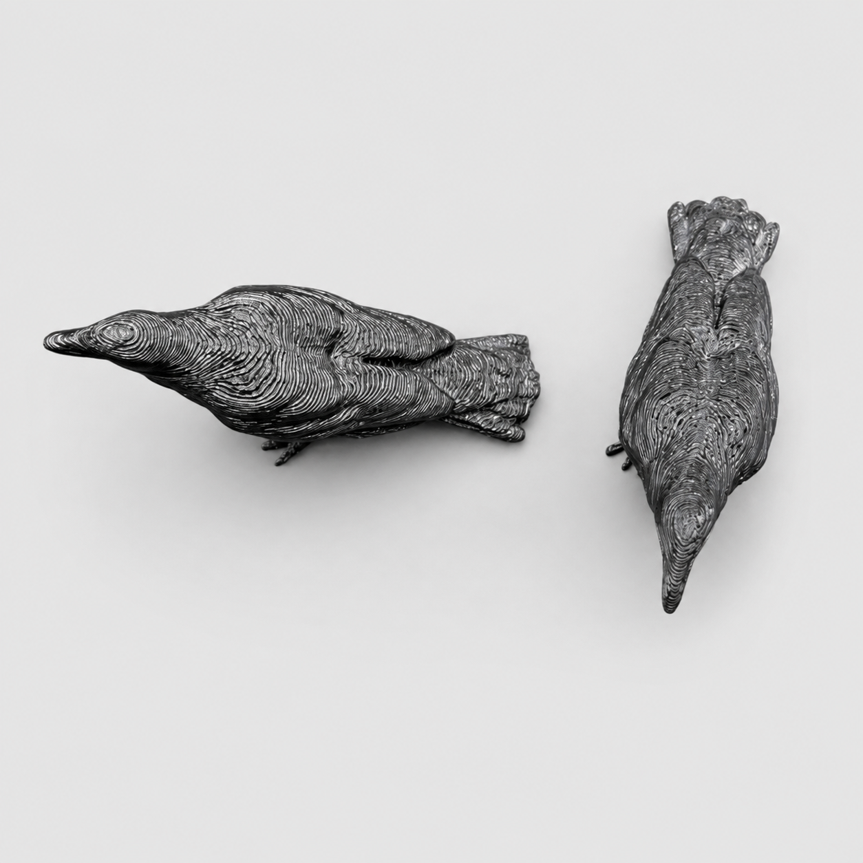 Top view of two detailed black miniature crow and raven-style 3D printed bird figures showing feather texture and body shape.