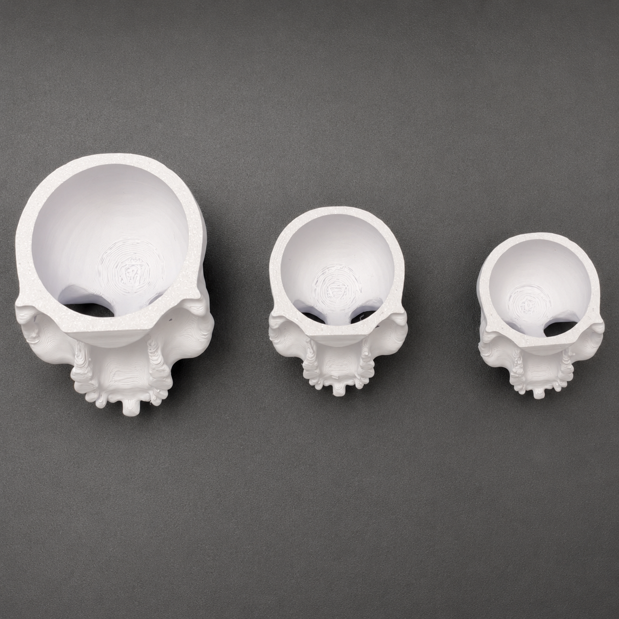 Interior view of three sizes of white 3D printed Hollow Skull jumping spider wall hides with hidden peekaboo viewing openings.
