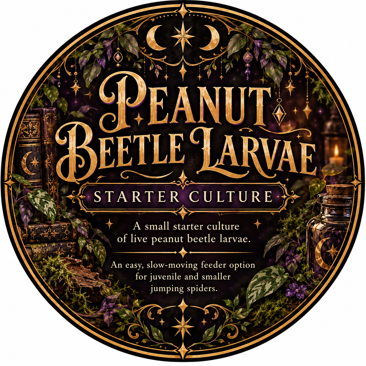 Small Peanut Beetle Larvae Culture Starter