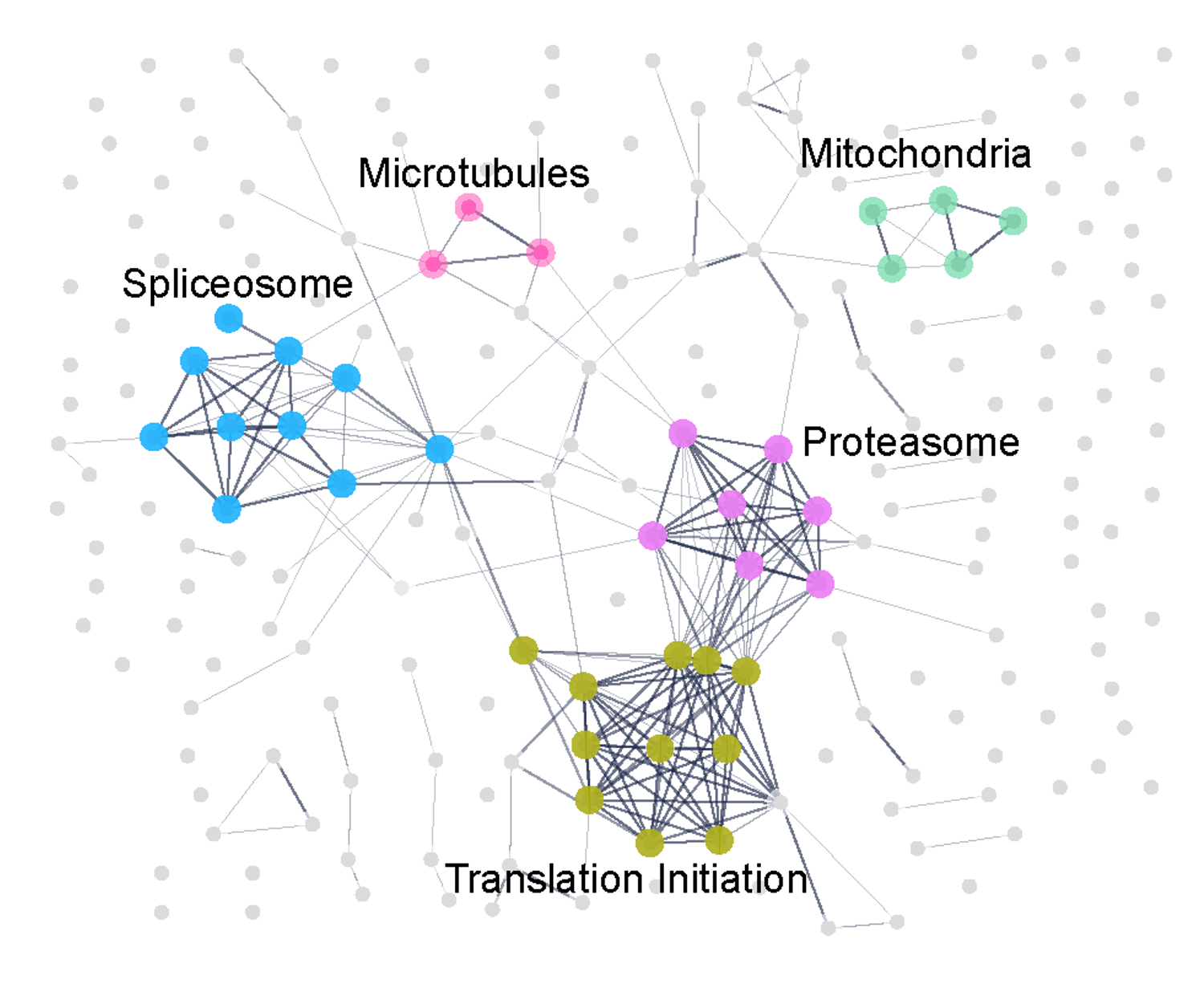 Calcineurin interaction network mapped via proximity labeling assay, TurboID.