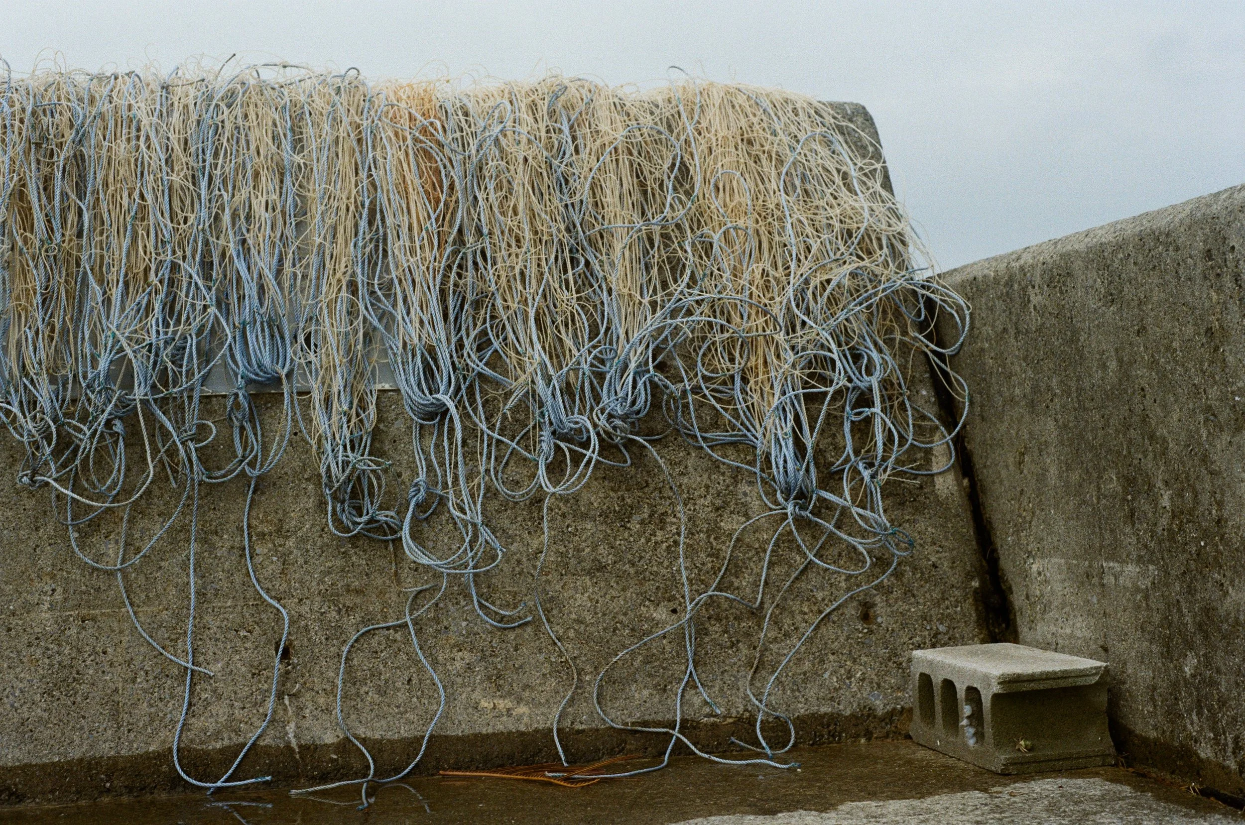 4051_20A.jpg