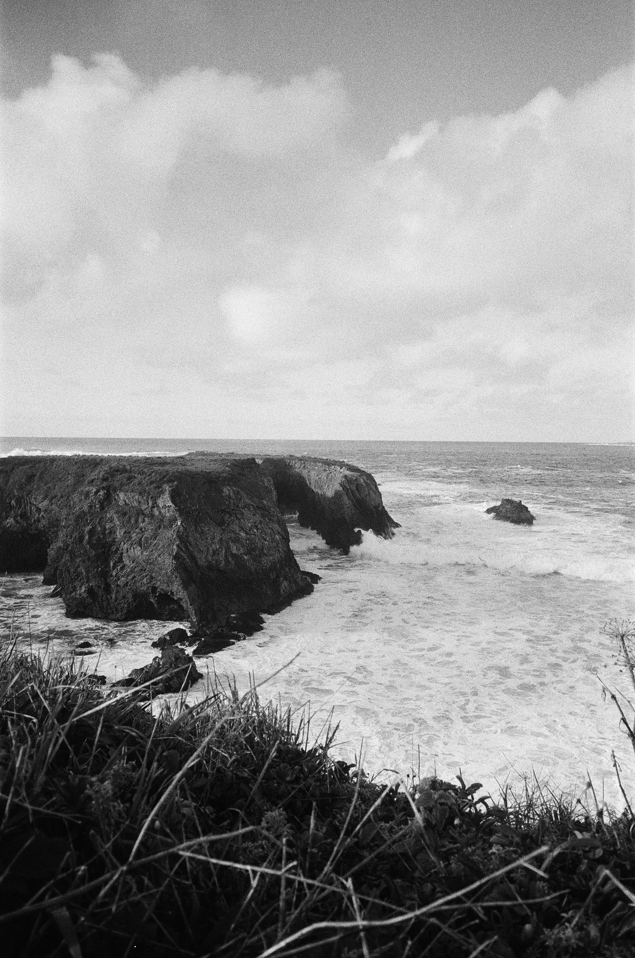 Mendocino (2024)