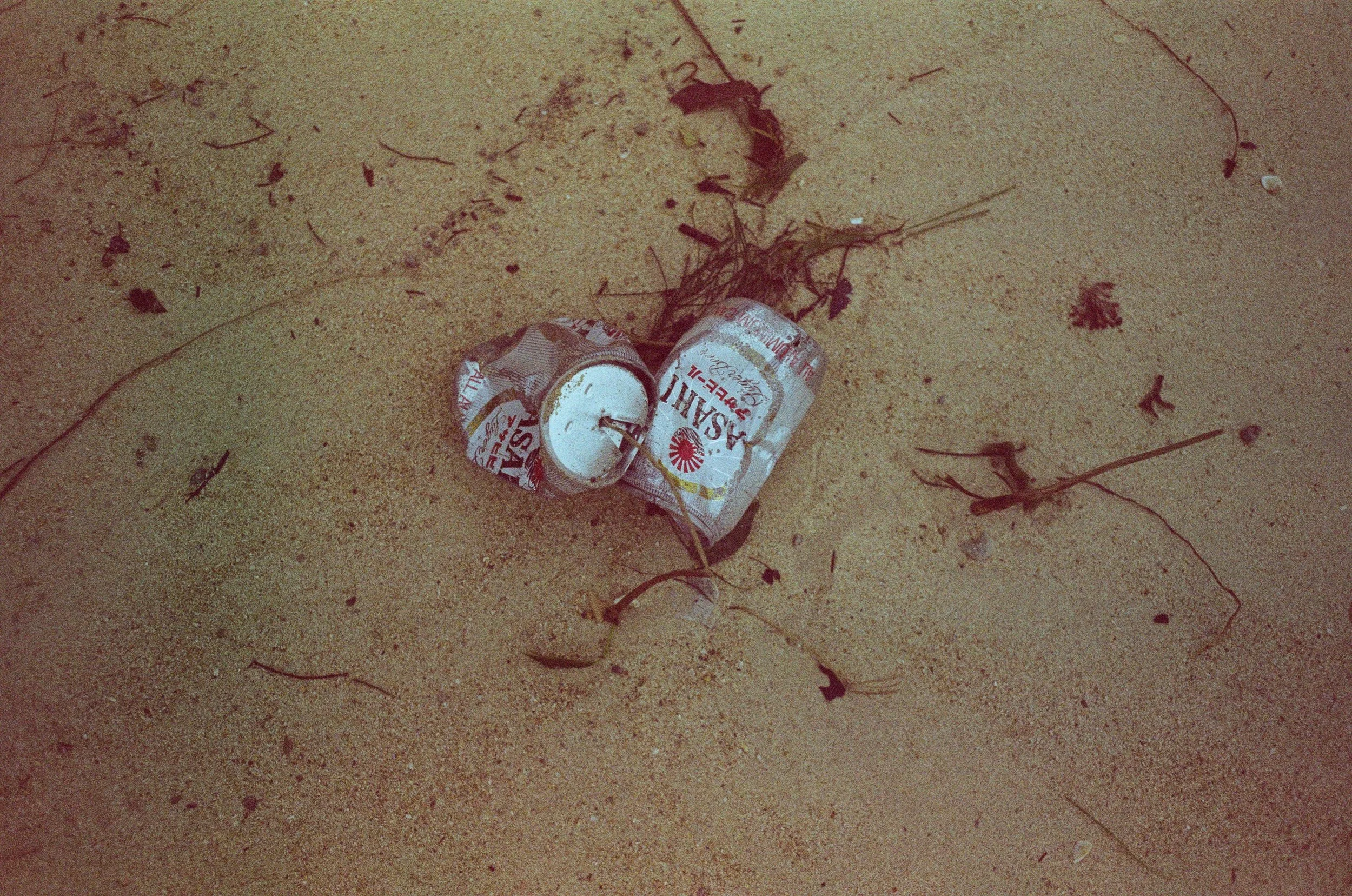 4047_04.jpg