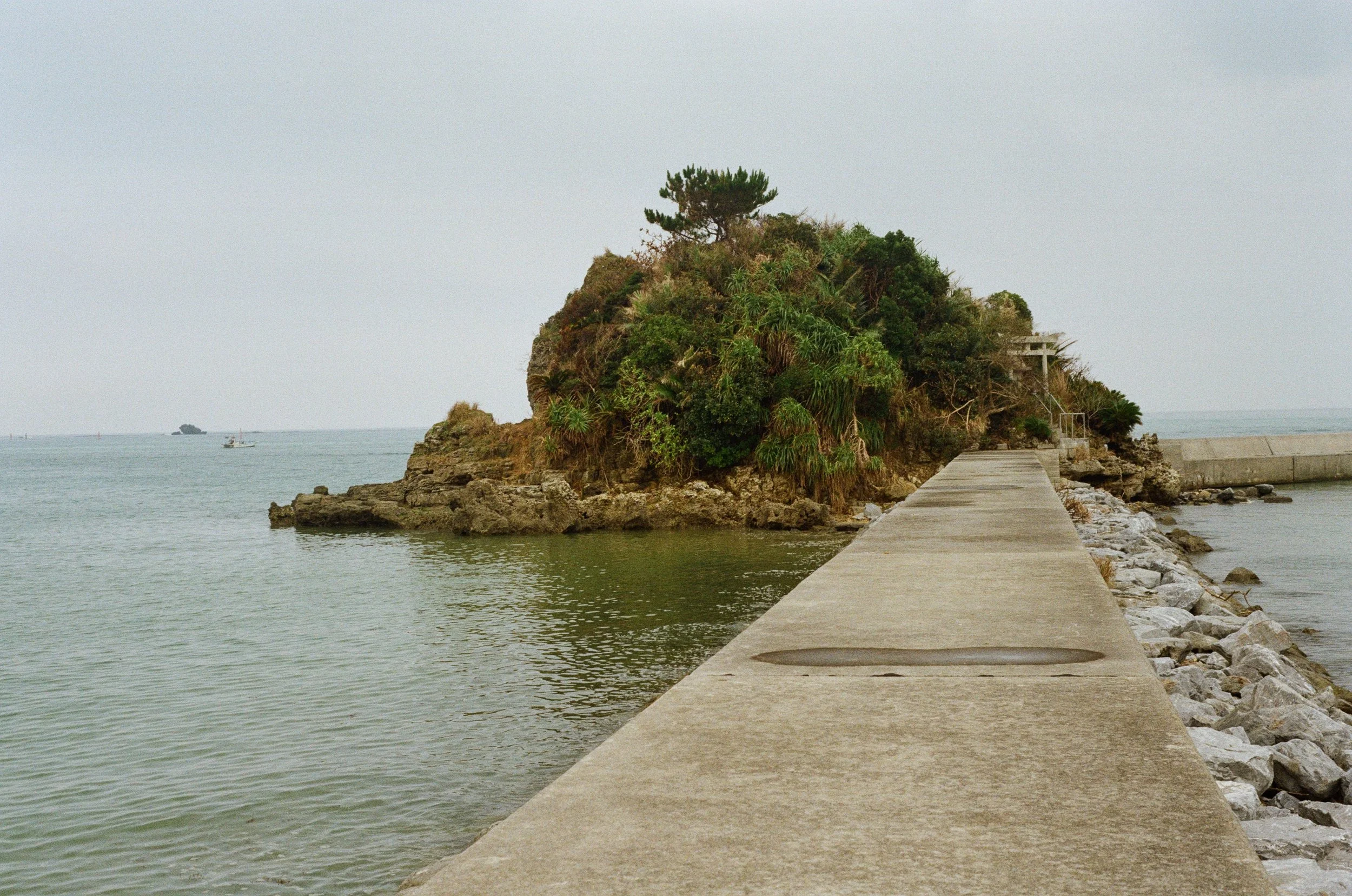 4051_25A.jpg