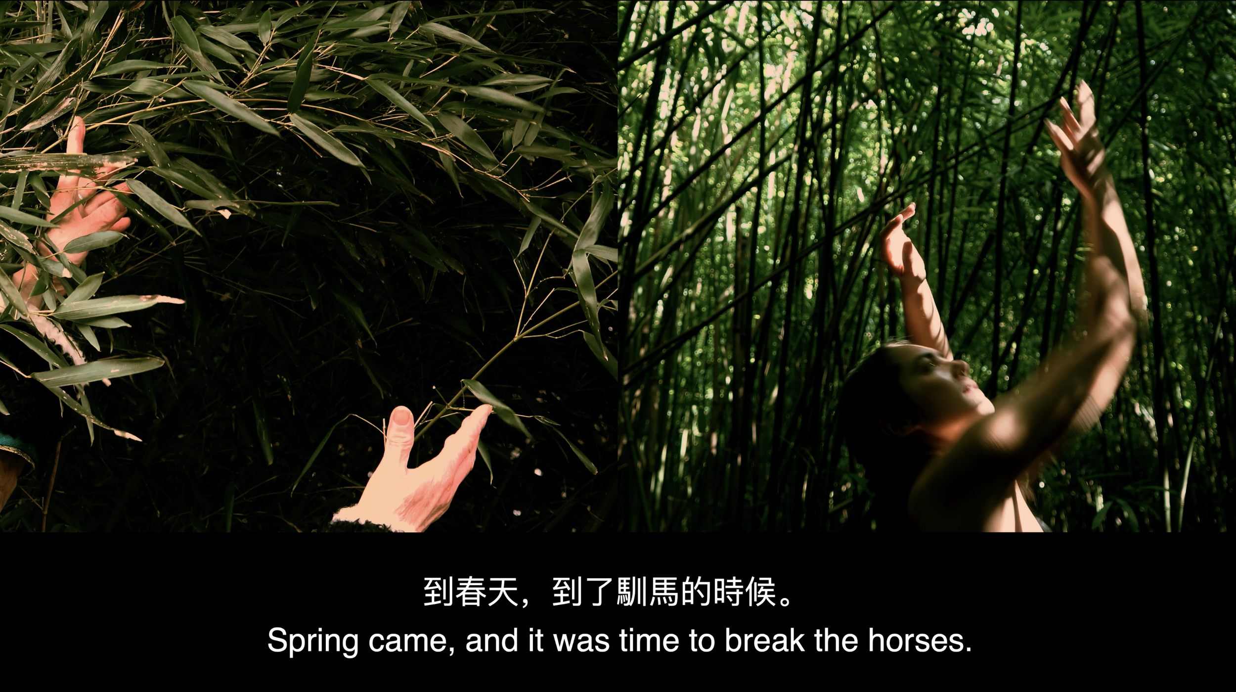 flowers-and-fog-still-2021-2.png