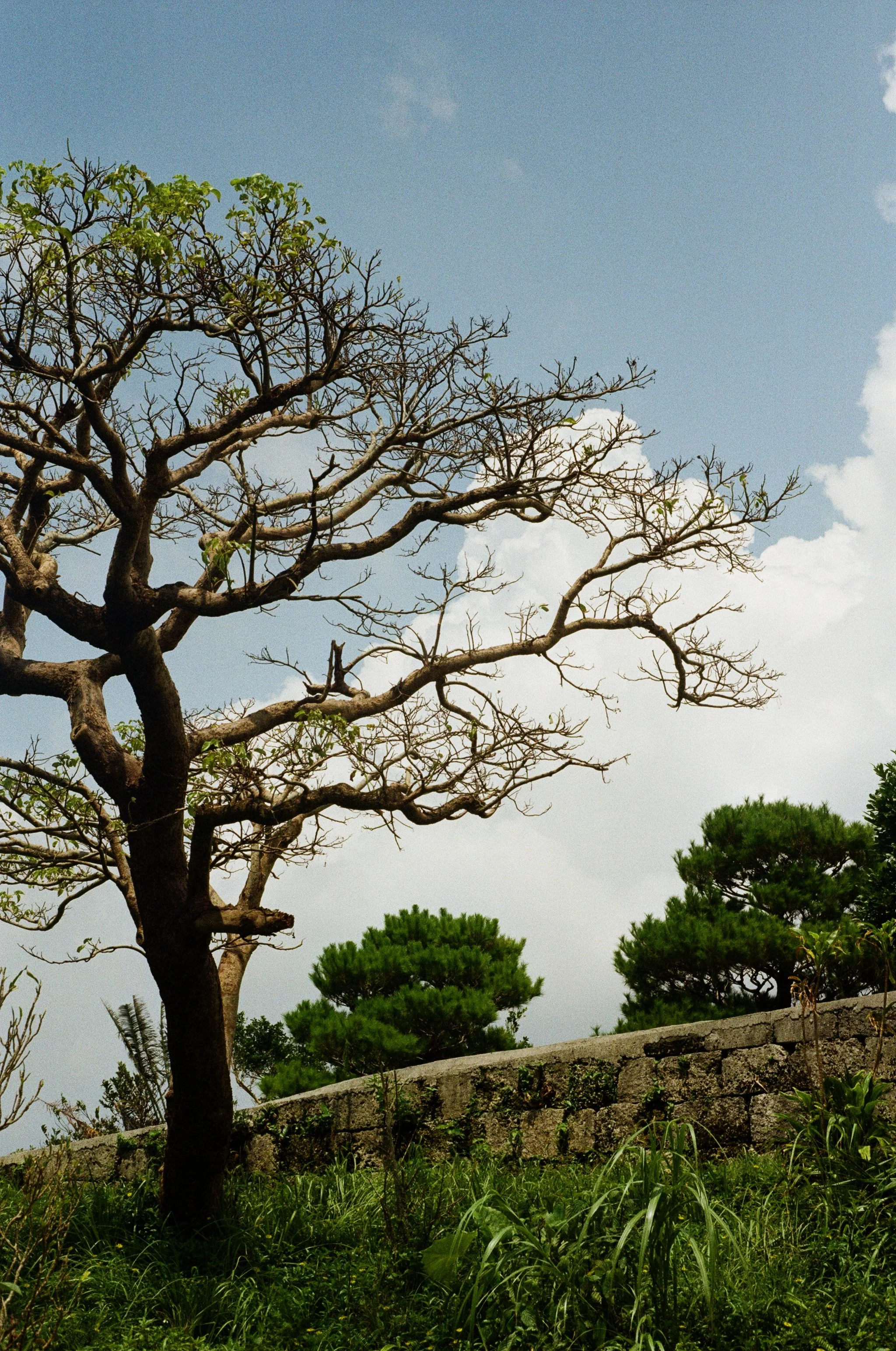 4051_12A.jpg