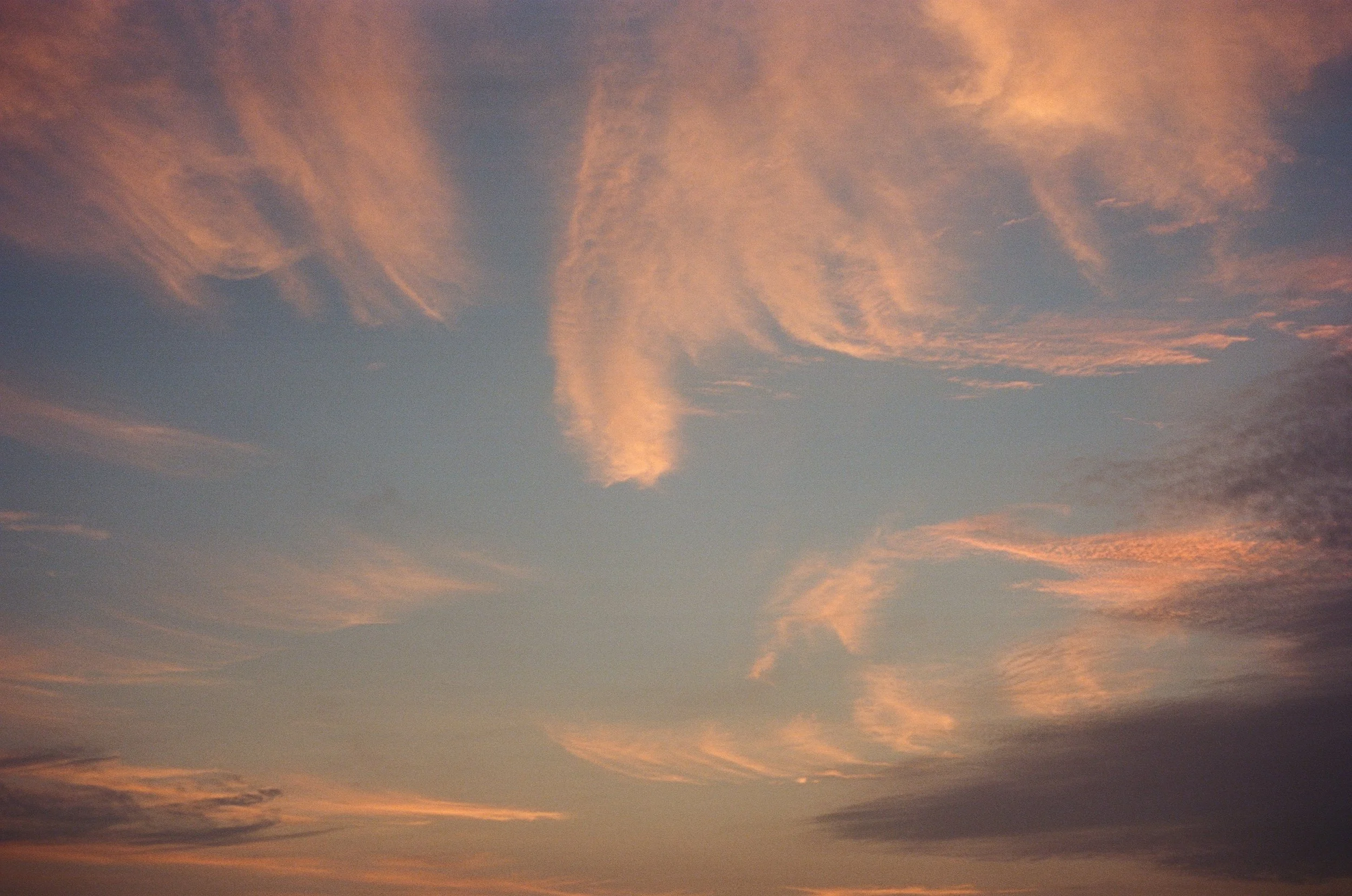 4048_29A.jpg