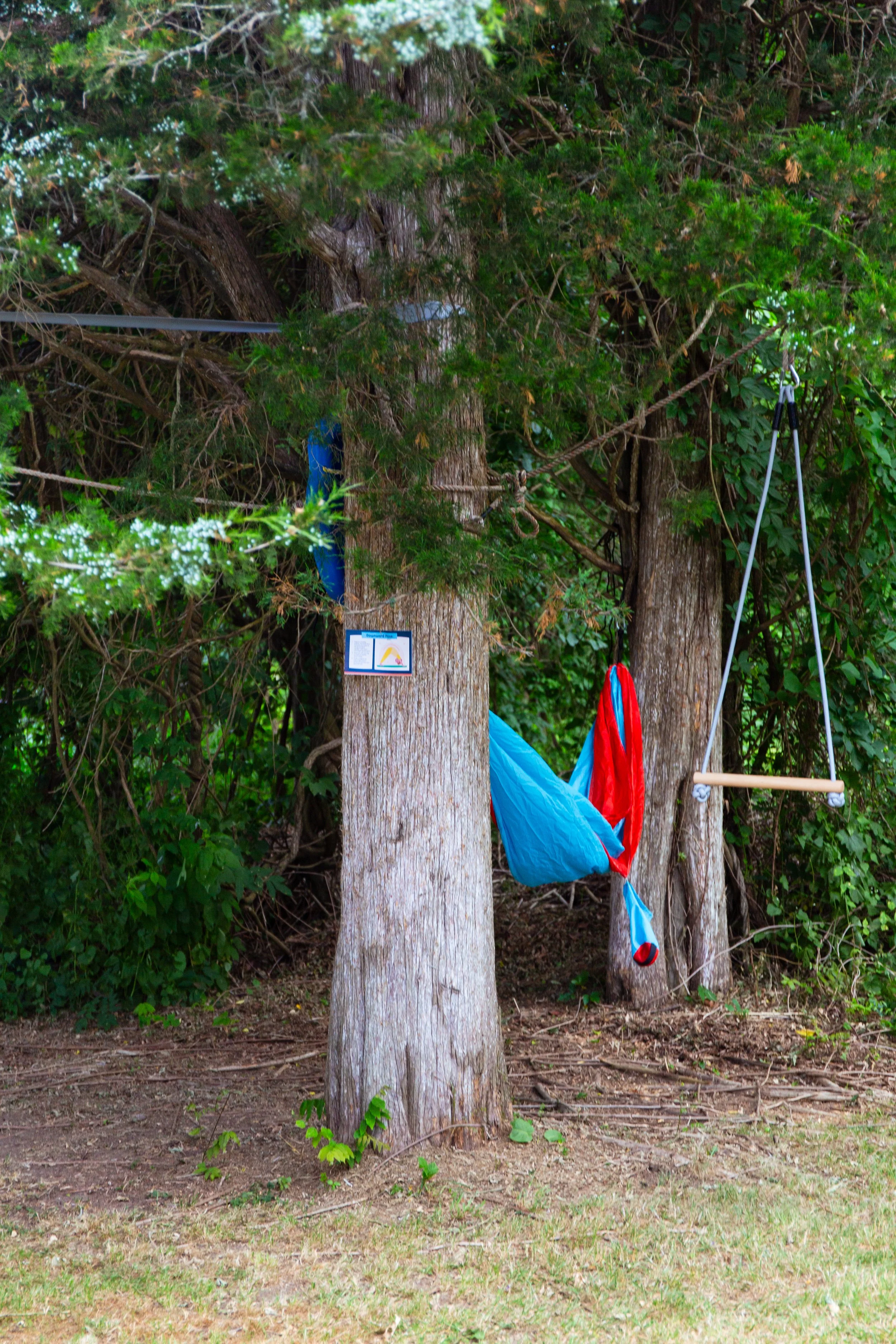 A small campsite with two trees having plenty of ropes, tarps, and fabric hanging between them. Green foliage surrounds the campsite, and the ground is covered with dirt and grass.