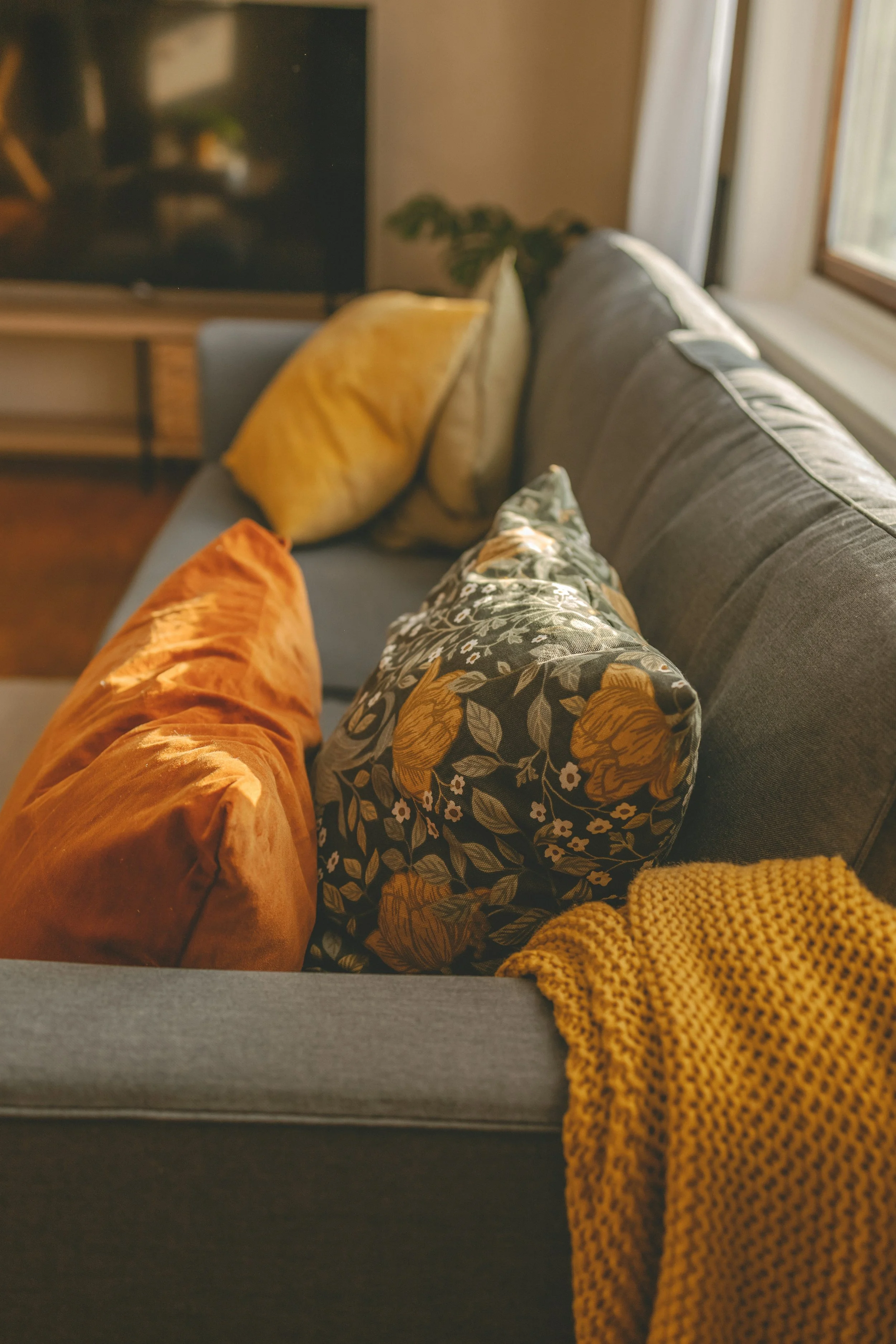 Aging in Place vs. Assisted Living: A Financial Cost Comparison and Quality of Life Analysis